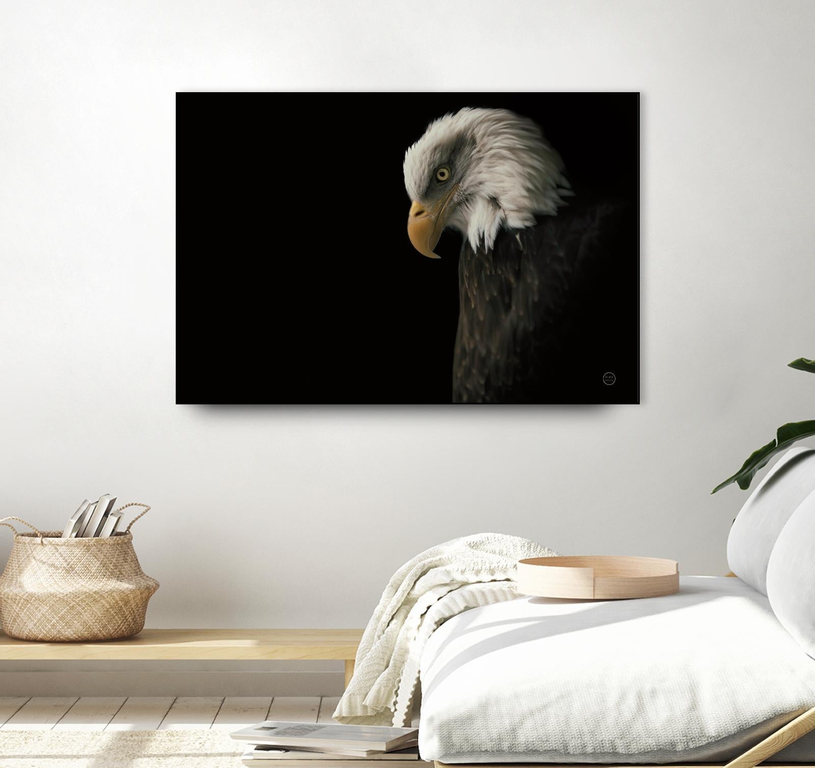 Eagle Bow by Nathan Larson on GIANT ART - animals american eagle