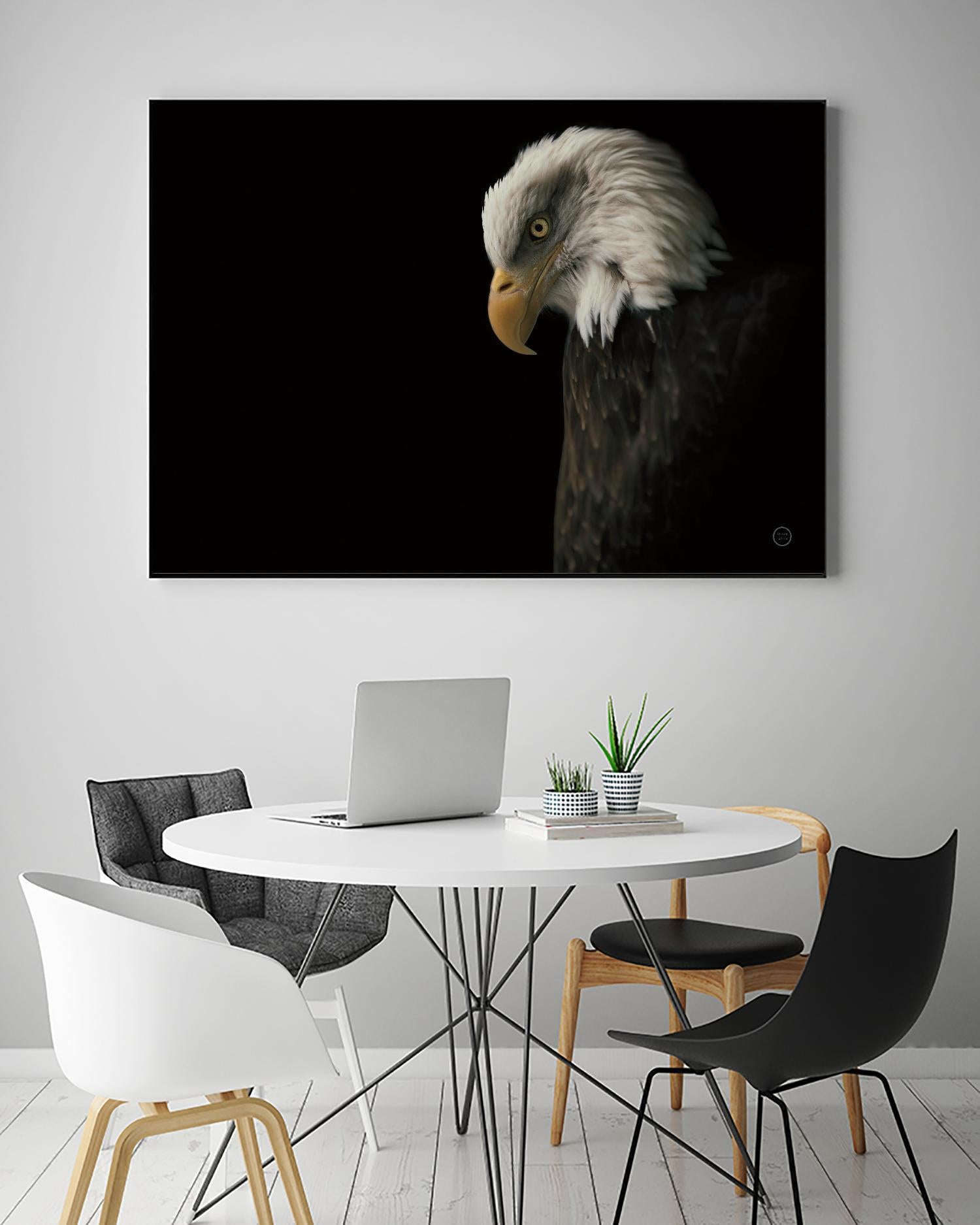 Eagle Bow by Nathan Larson on GIANT ART - animals american eagle