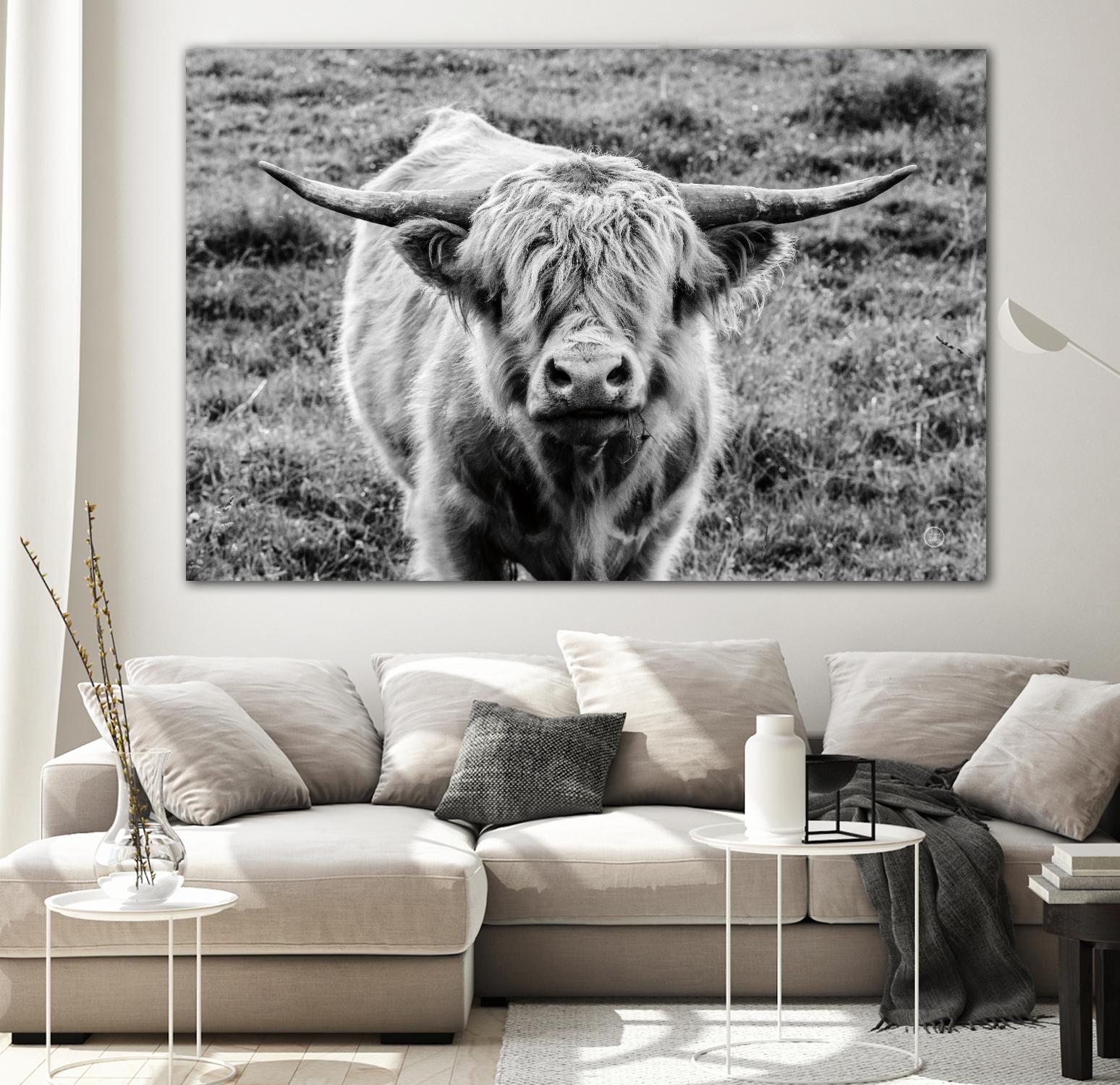 Highland Cow Staring Contest by Nathan Larson on GIANT ART - animals animals
