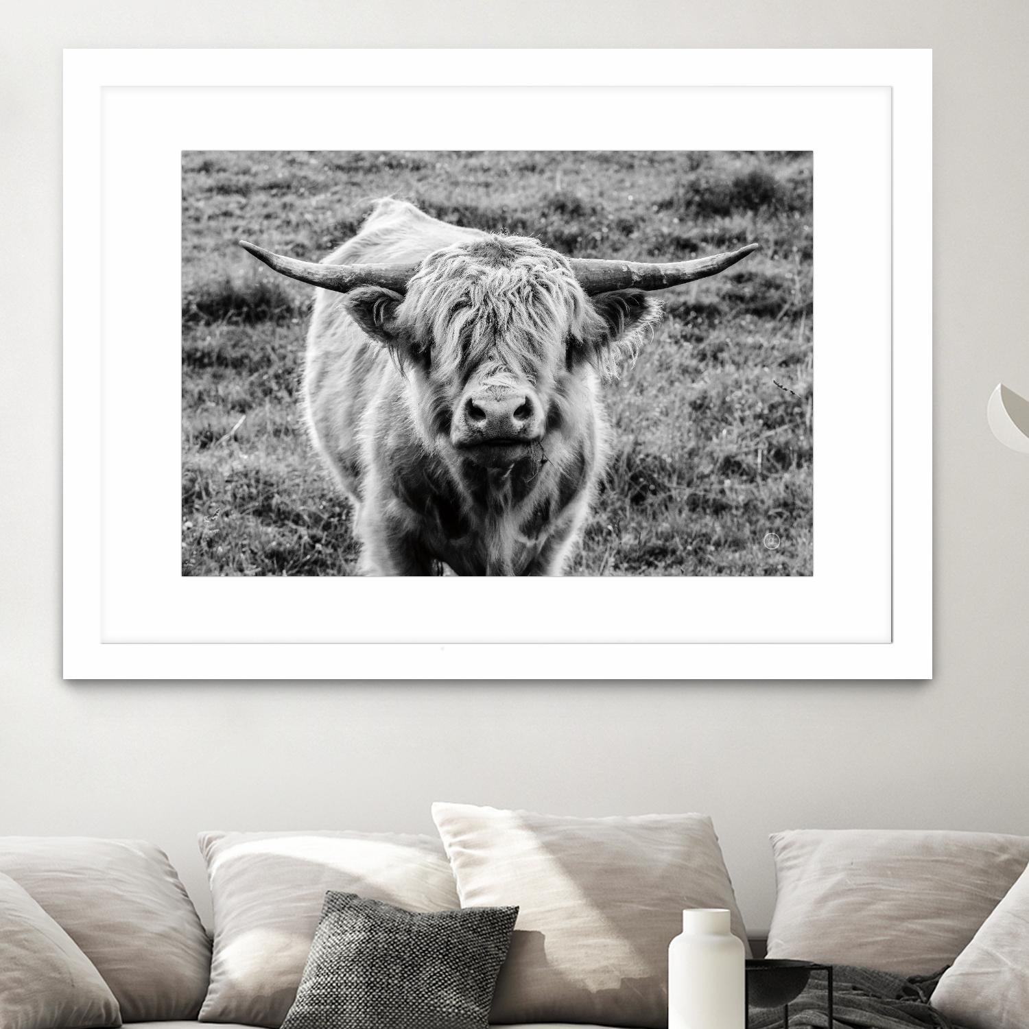 Highland Cow Staring Contest by Nathan Larson on GIANT ART - white animals highland cattle