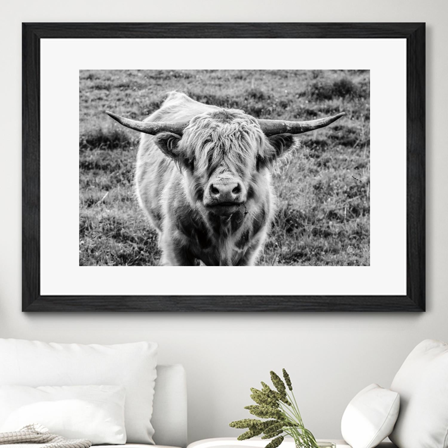 Highland Cow Staring Contest by Nathan Larson on GIANT ART - white animals highland cattle