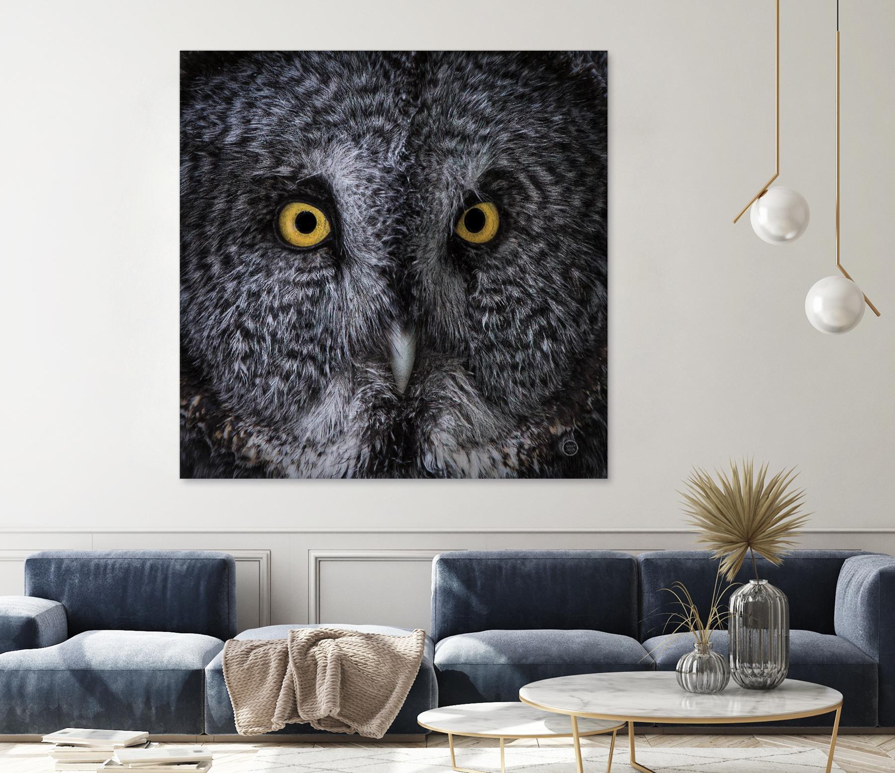 Great Grey Owl by Nathan Larson on GIANT ART - animals animals