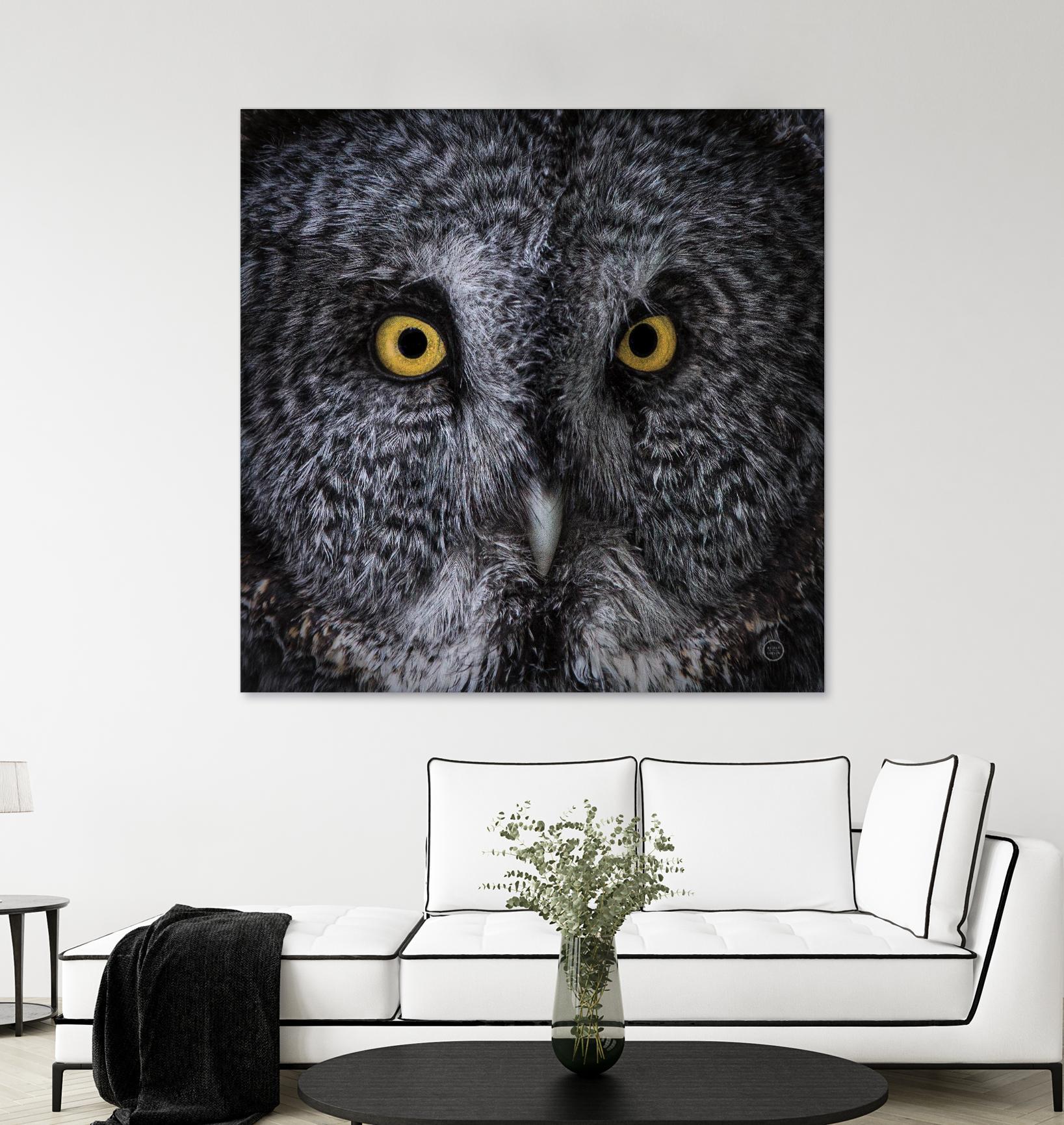 Great Grey Owl by Nathan Larson on GIANT ART - animals animals