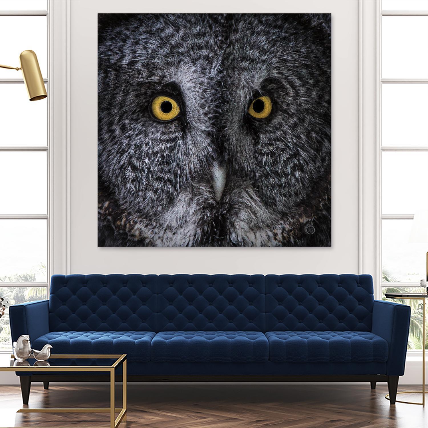 Great Grey Owl by Nathan Larson on GIANT ART - animals animals