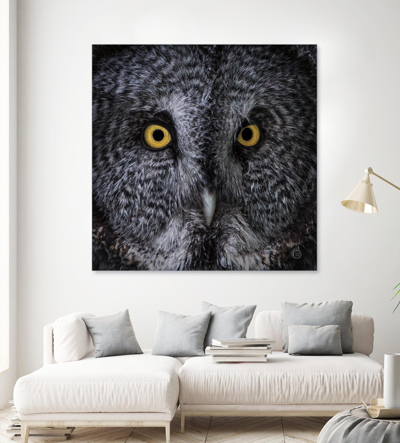 Great Grey Owl by Nathan Larson on GIANT ART - animals animals