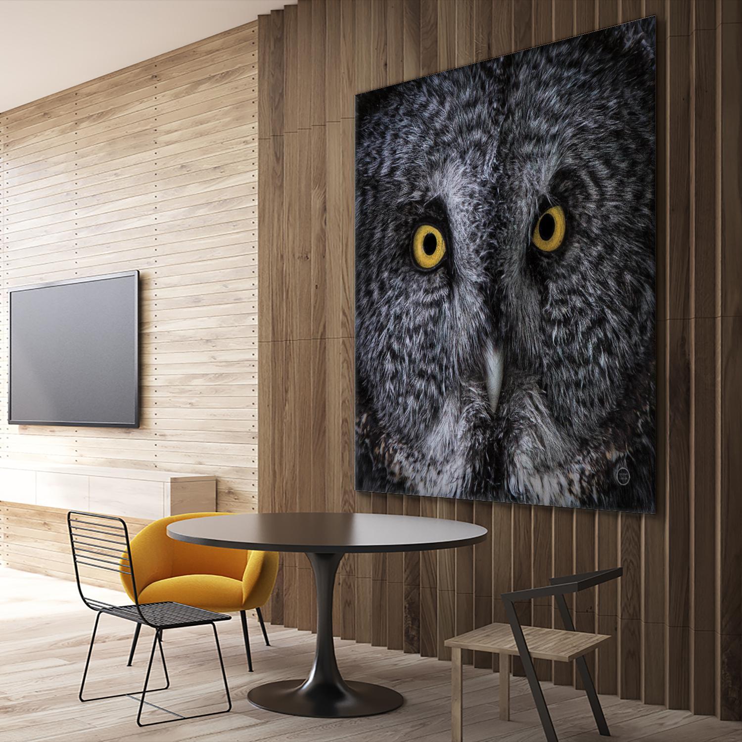 Great Grey Owl by Nathan Larson on GIANT ART - animals animals