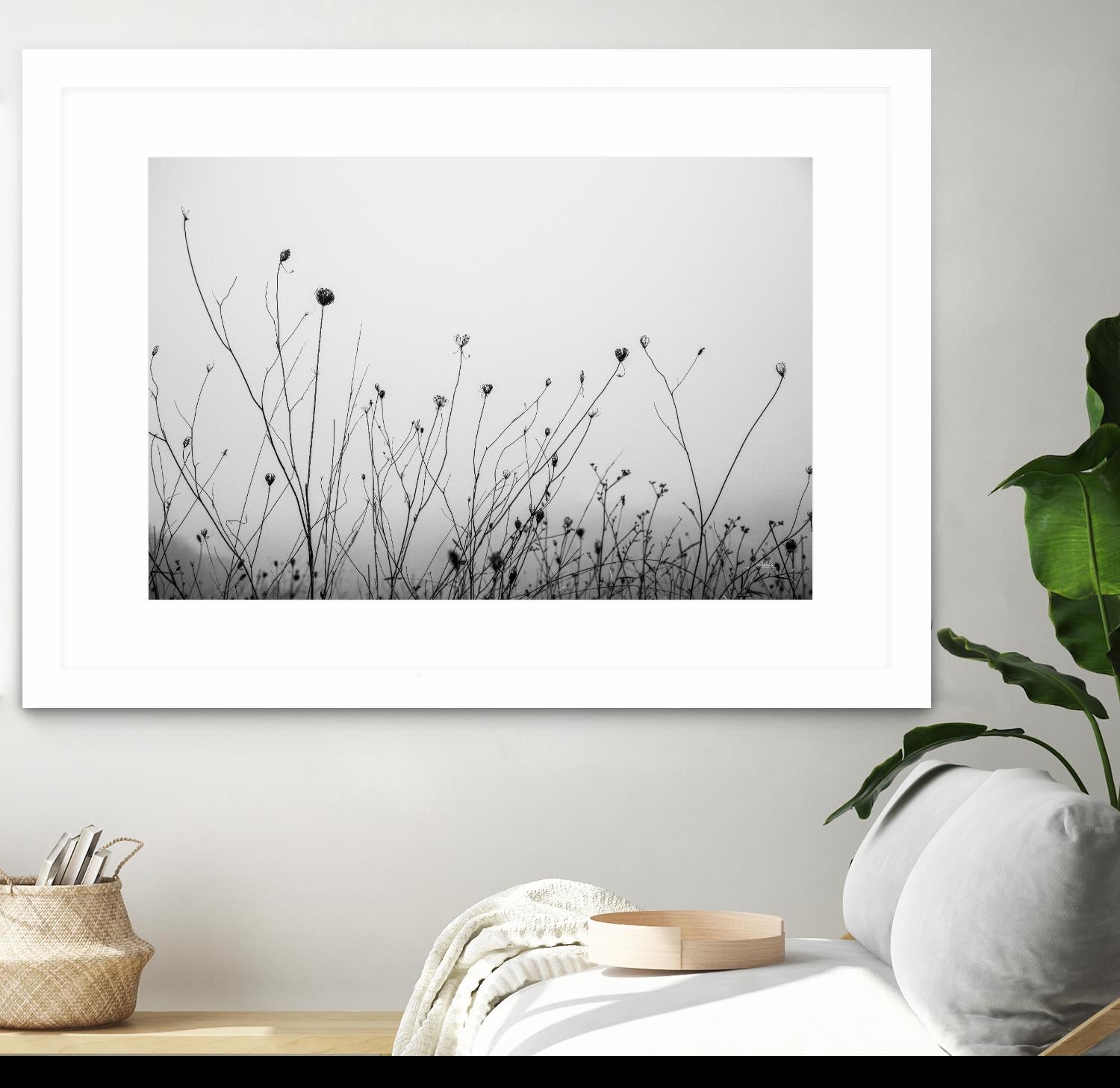 Autumn Grasses by Aledanda on GIANT ART - black & white flowers stems