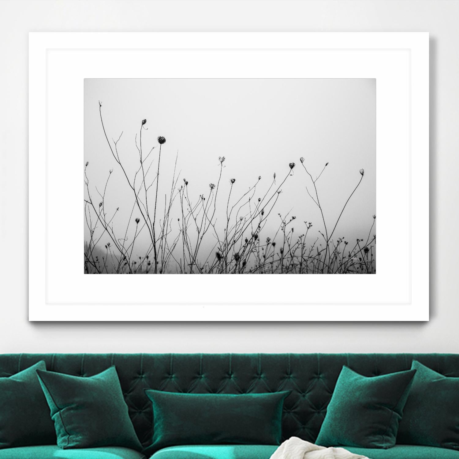 Autumn Grasses by Aledanda on GIANT ART - black & white flowers stems