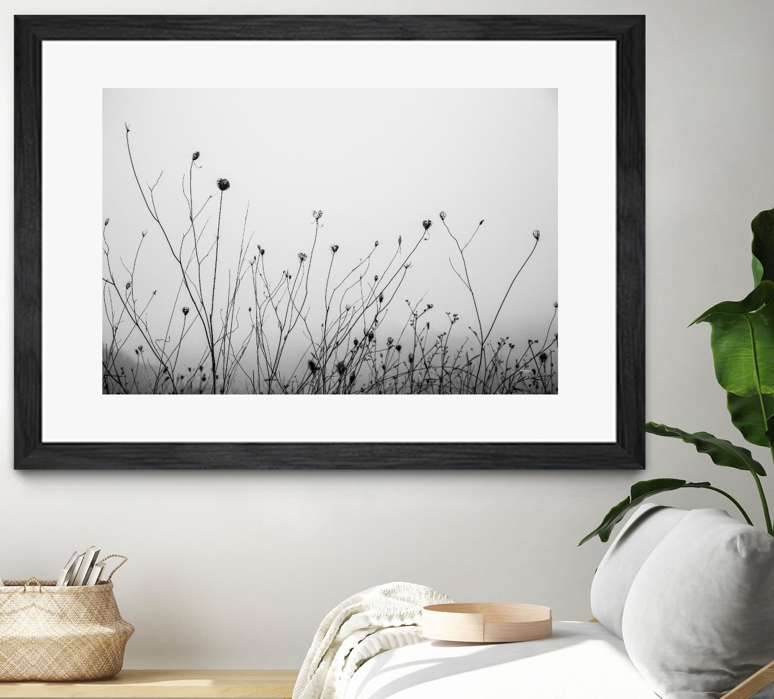 Autumn Grasses by Aledanda on GIANT ART - black & white flowers stems