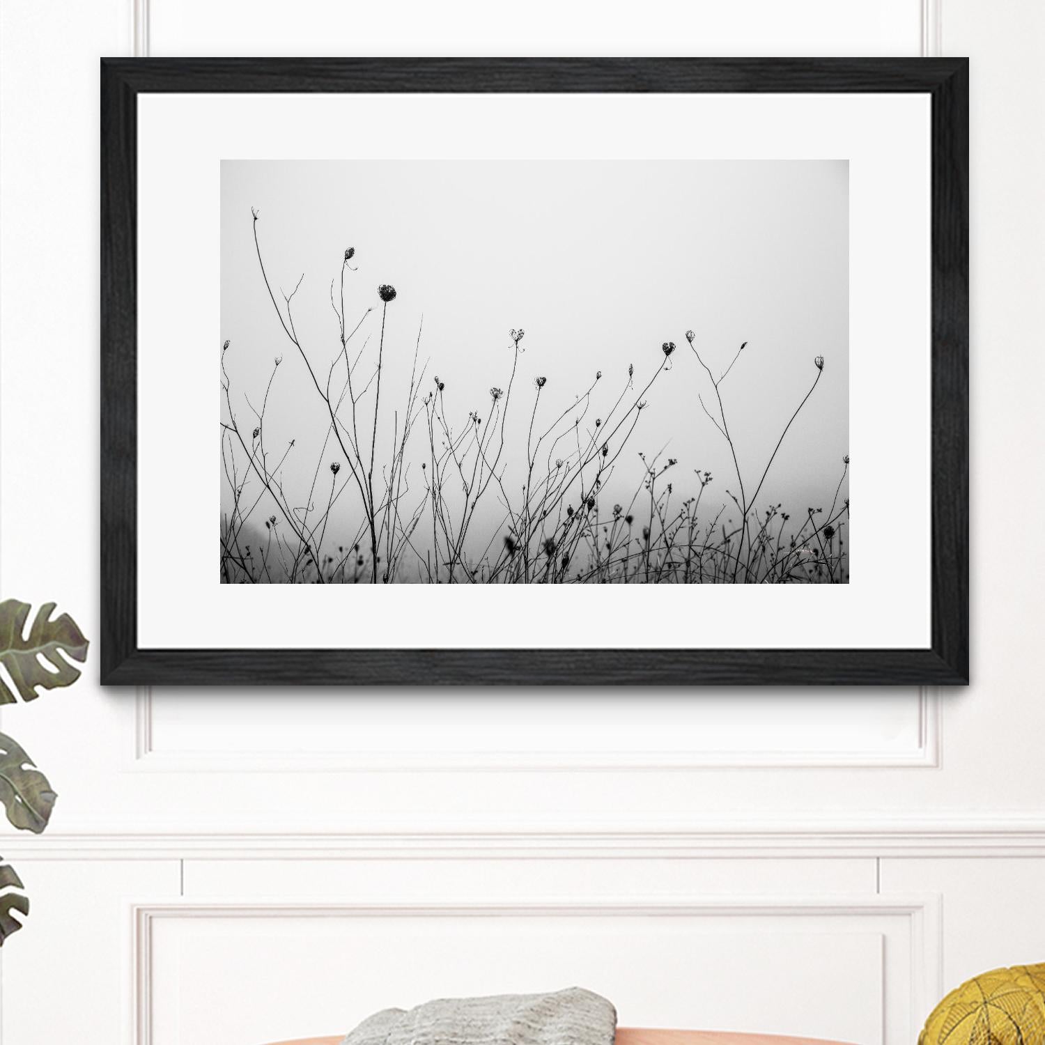 Autumn Grasses by Aledanda on GIANT ART - black & white flowers stems