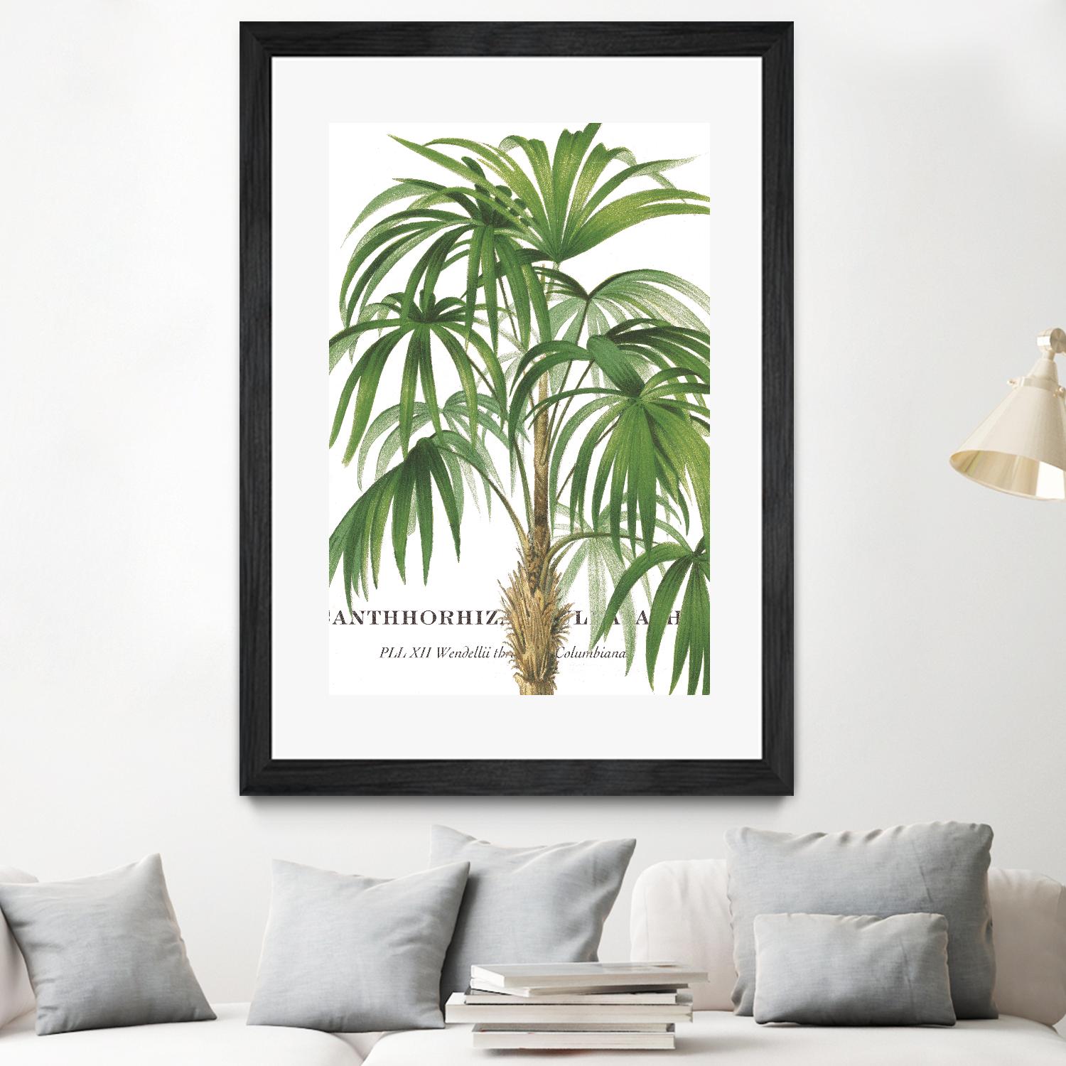 Riviera Palms II by Studio on GIANT ART - green tropical