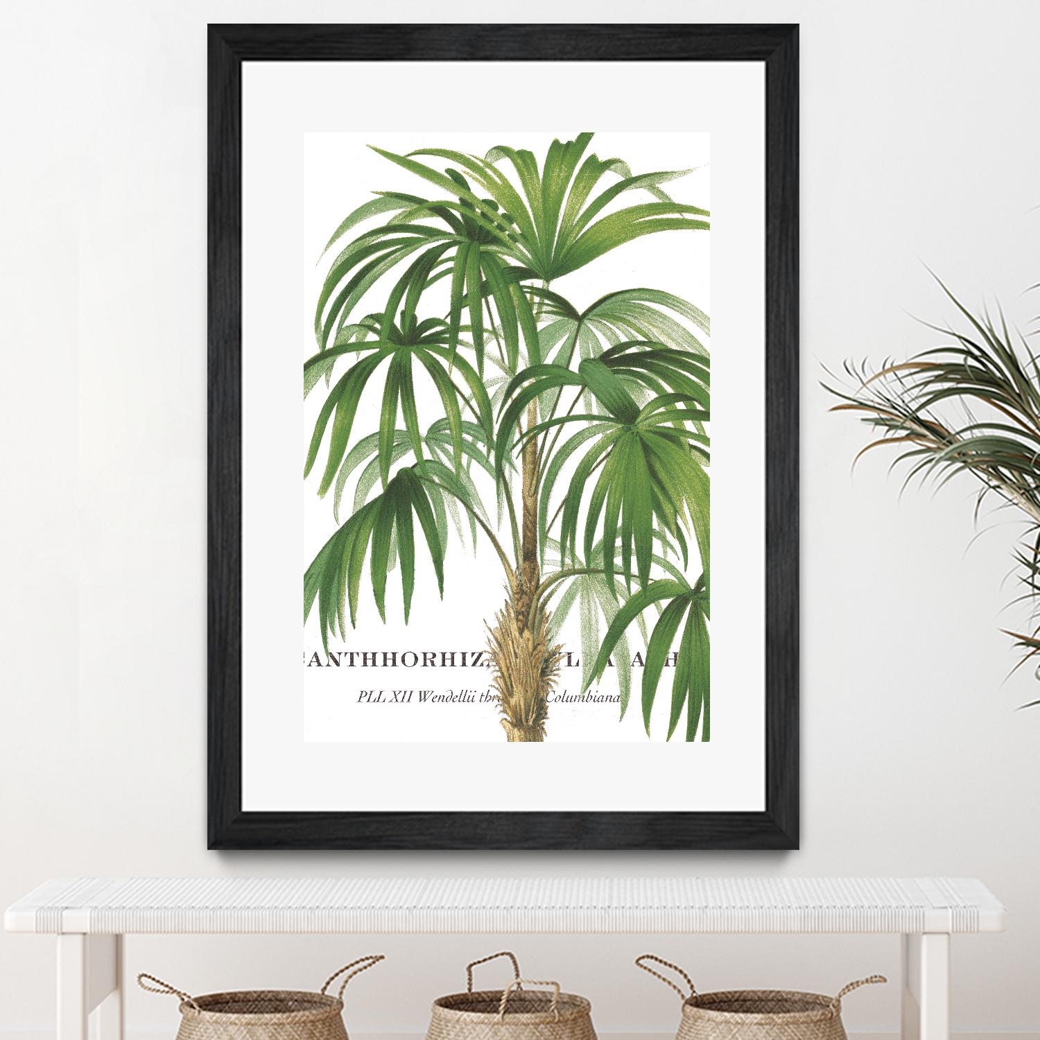 Riviera Palms II by Studio on GIANT ART - green tropical