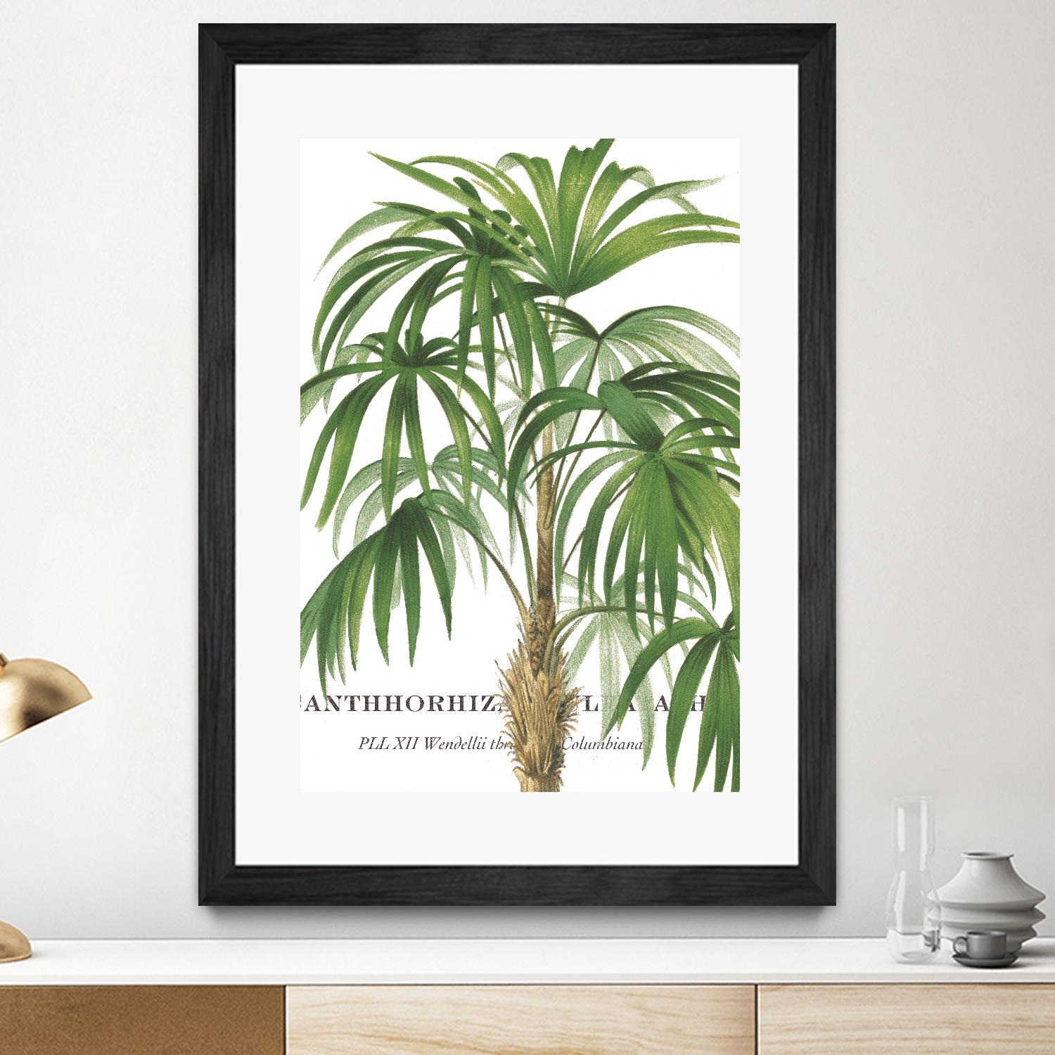 Riviera Palms II by Studio on GIANT ART - green tropical