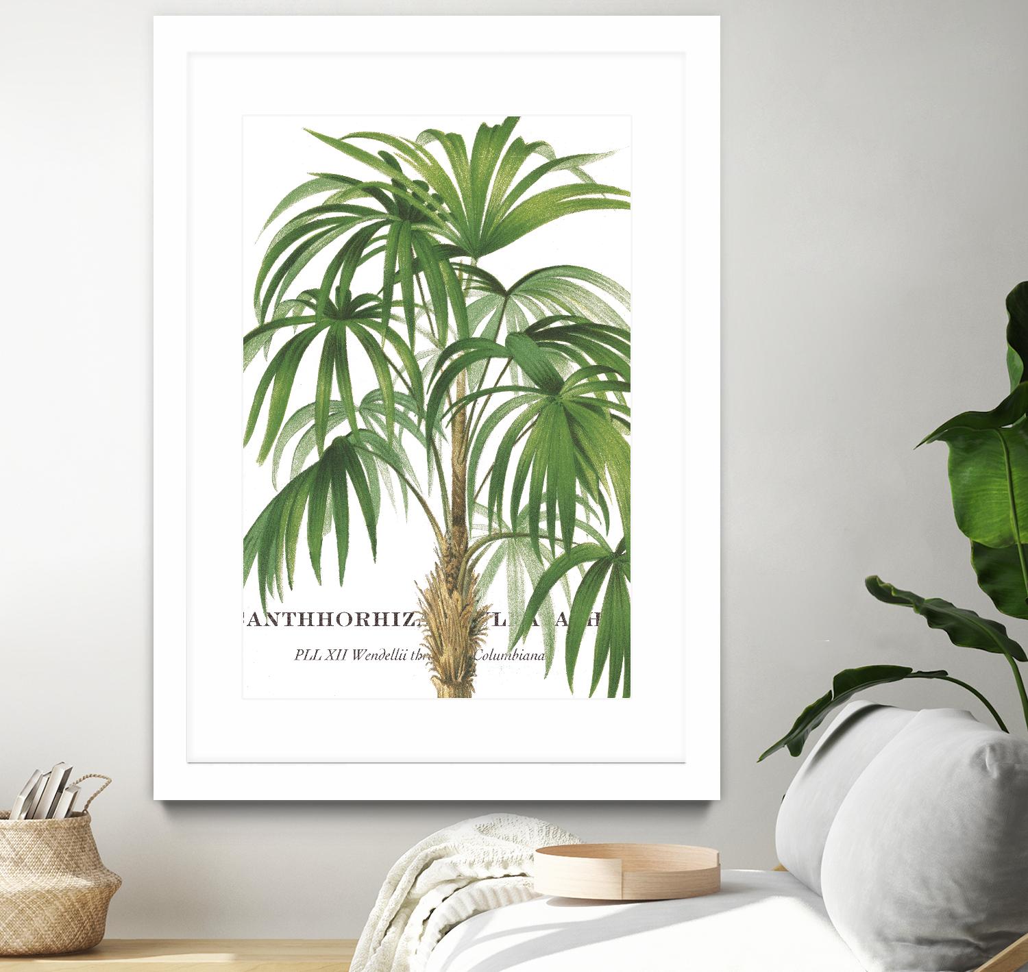 Riviera Palms II by Studio on GIANT ART - green tropical