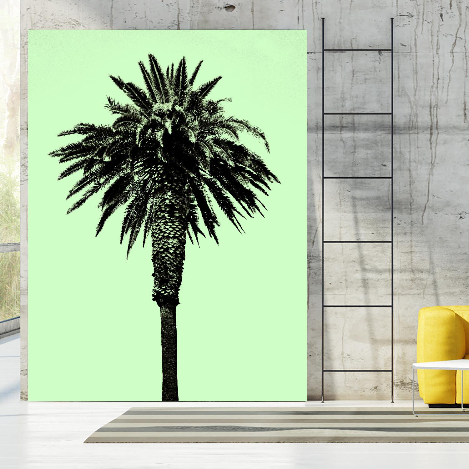 Palm Tree 1996 (Green) by Erik Asla on GIANT ART - multicolor photography; contemporary
