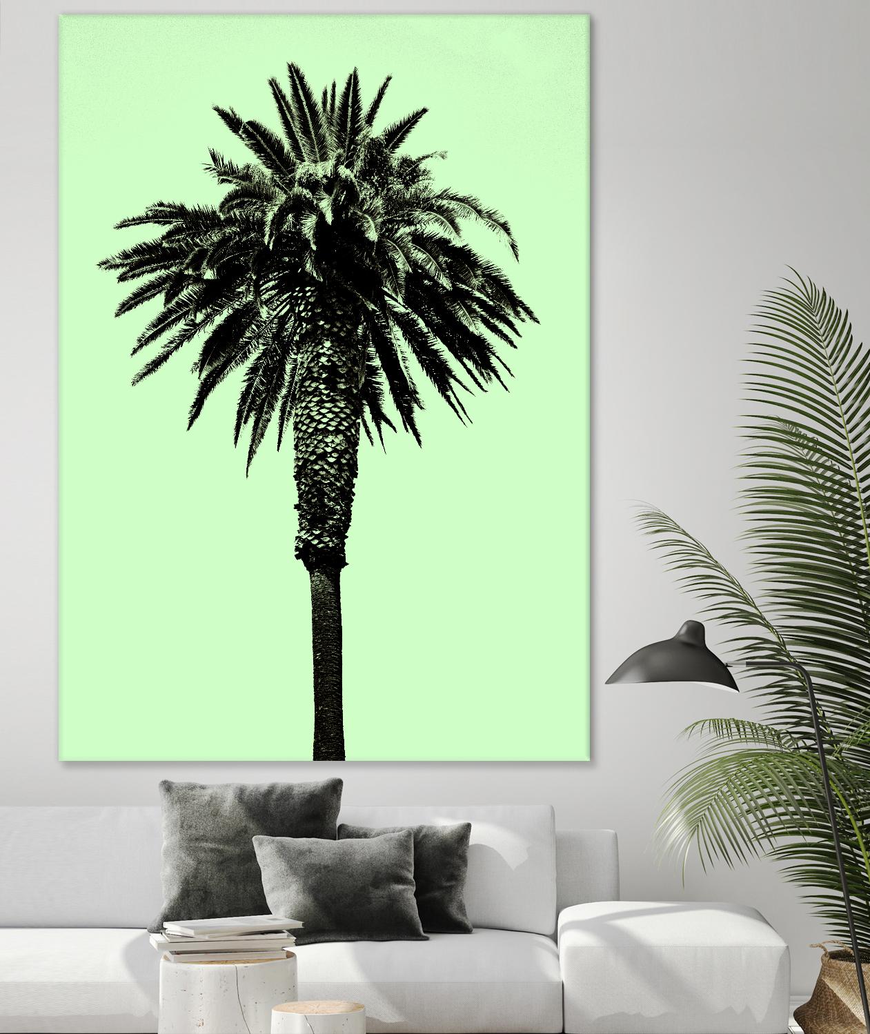 Palm Tree 1996 (Green) by Erik Asla on GIANT ART - multicolor photography; contemporary