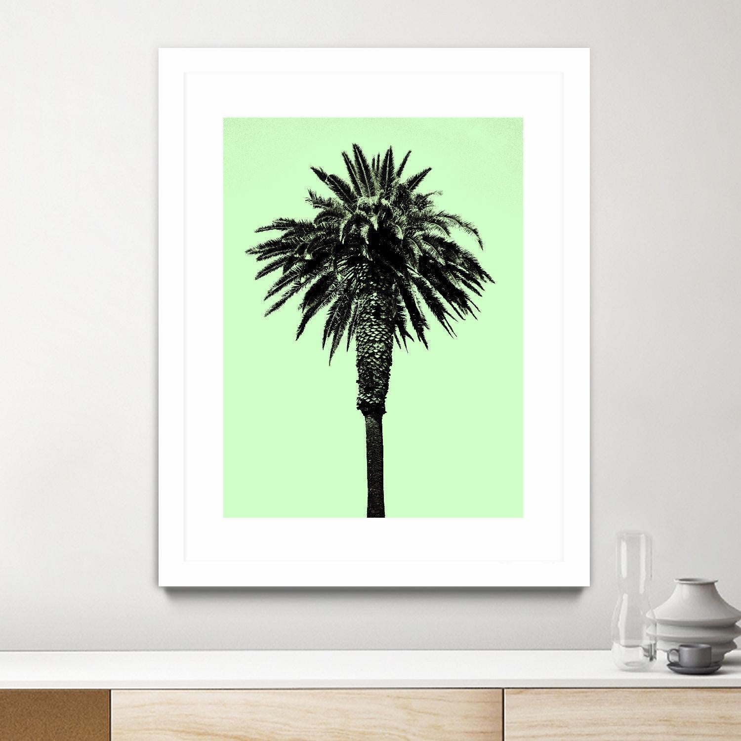 Palm Tree 1996 (Green) by Erik Asla on GIANT ART - multicolor photography; contemporary