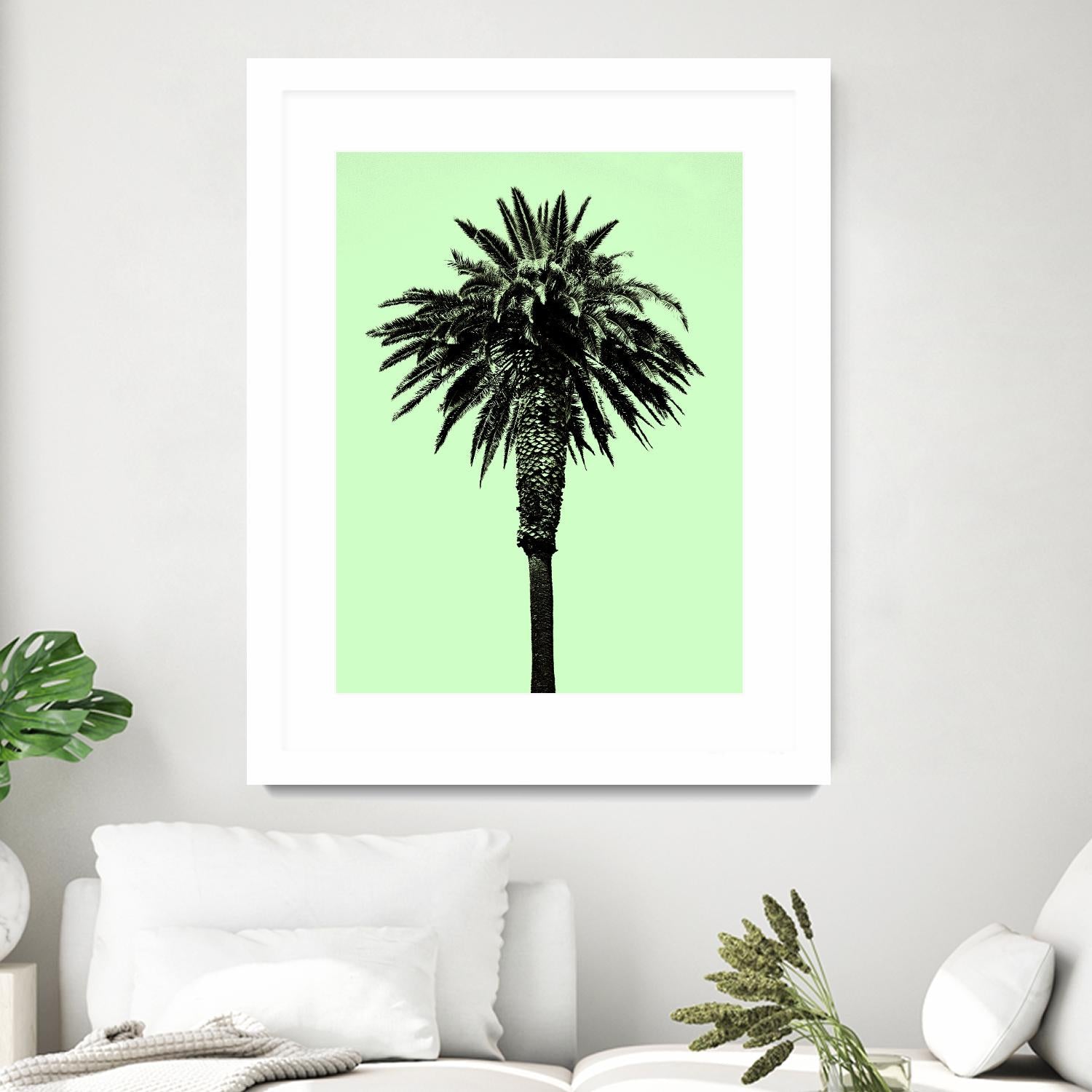 Palm Tree 1996 (Green) by Erik Asla on GIANT ART - multicolor photography; contemporary