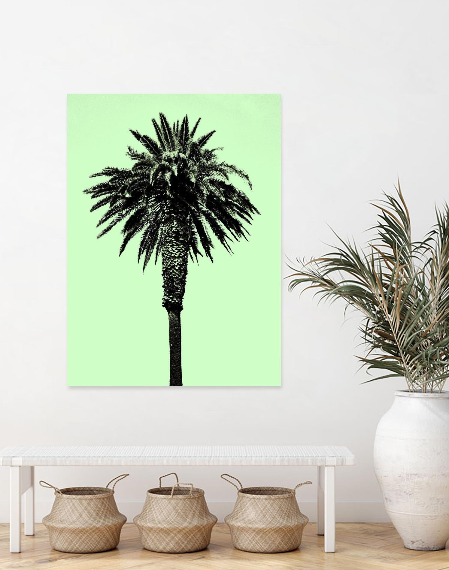 Palm Tree 1996 (Green) by Erik Asla on GIANT ART - multicolor photography; contemporary