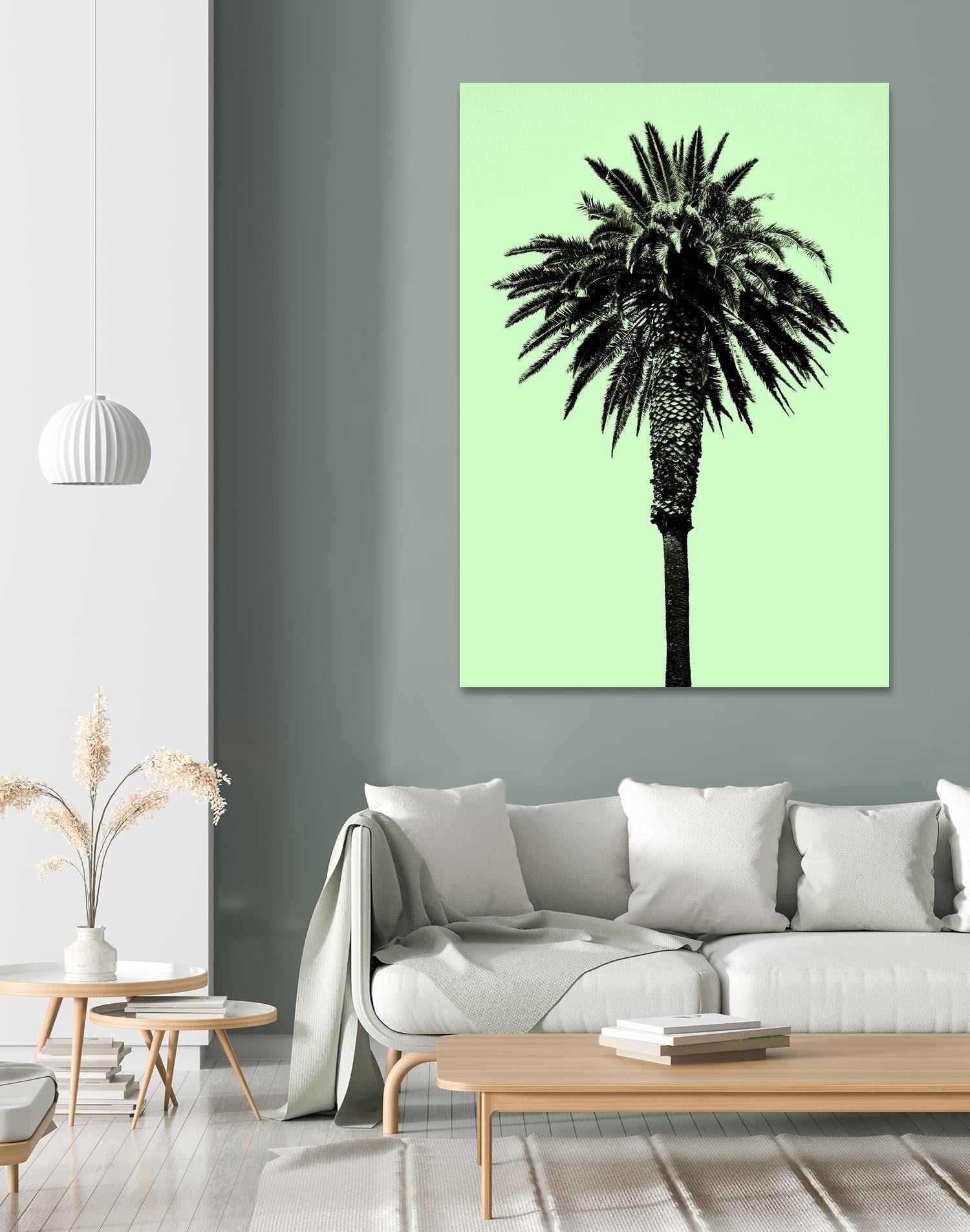 Palm Tree 1996 (Green) by Erik Asla on GIANT ART - multicolor photography; contemporary