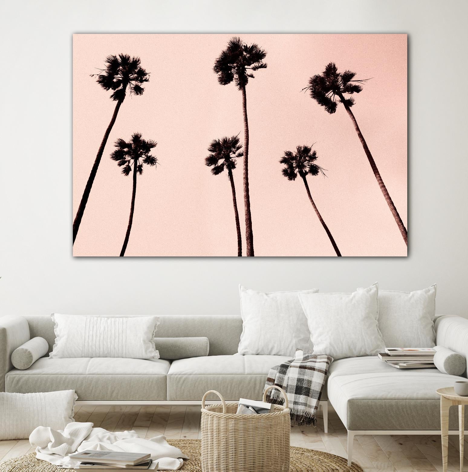 Palm Trees 1997 Copper by Erik Asla on GIANT ART - multicolor photography; contemporary