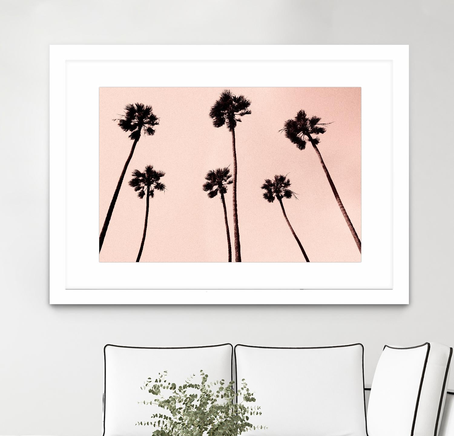 Palm Trees 1997 Copper by Erik Asla on GIANT ART - multicolor photography; contemporary