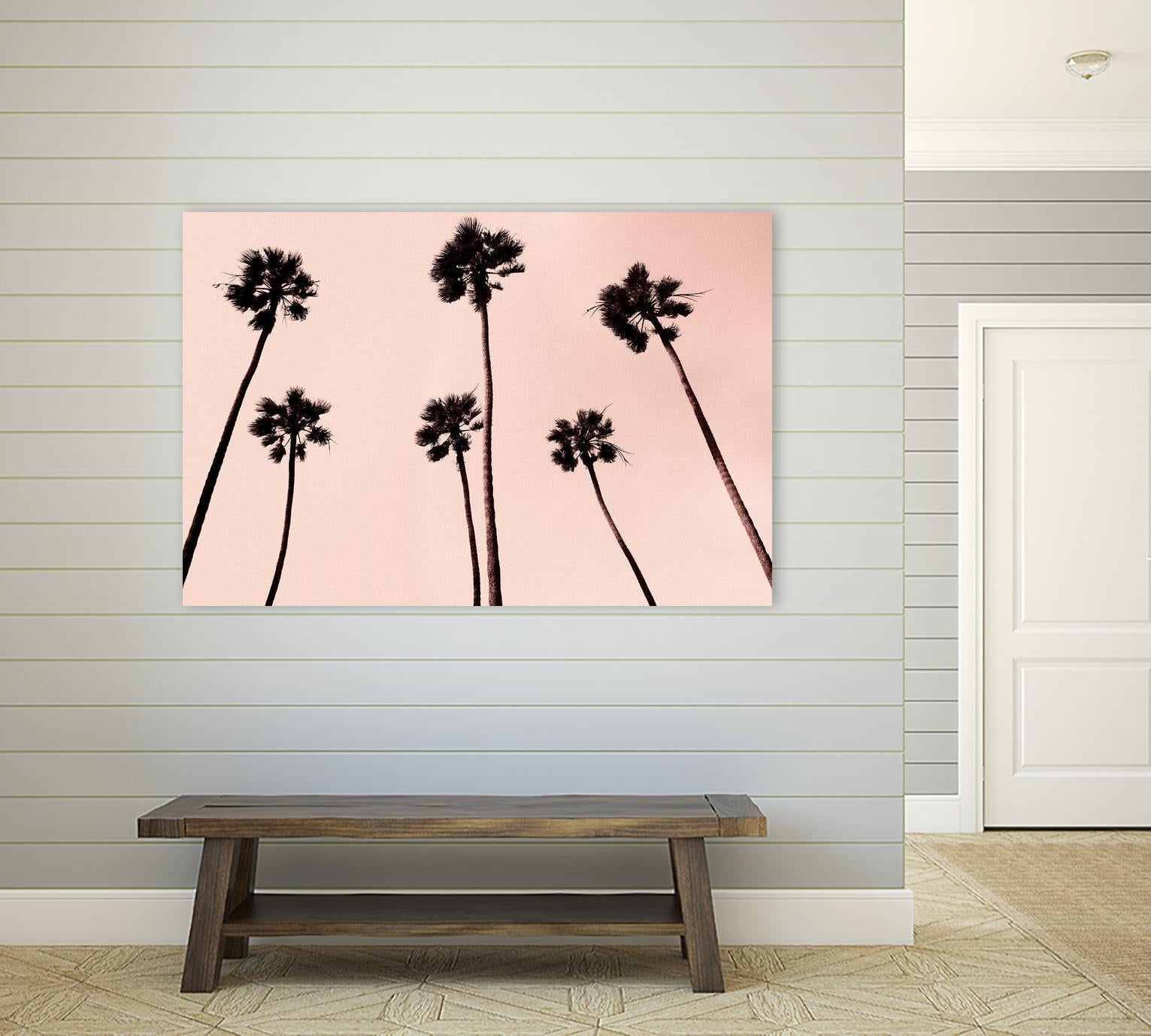 Palm Trees 1997 Copper by Erik Asla on GIANT ART - multicolor photography; contemporary