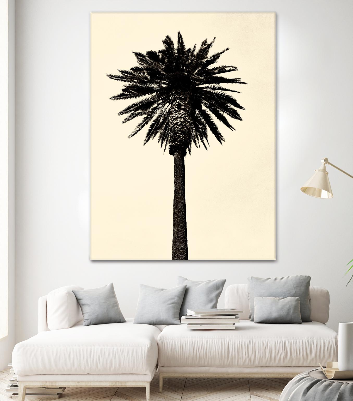 Palm Tree 1979 Tan by Erik Asla on GIANT ART - multicolor photography; contemporary