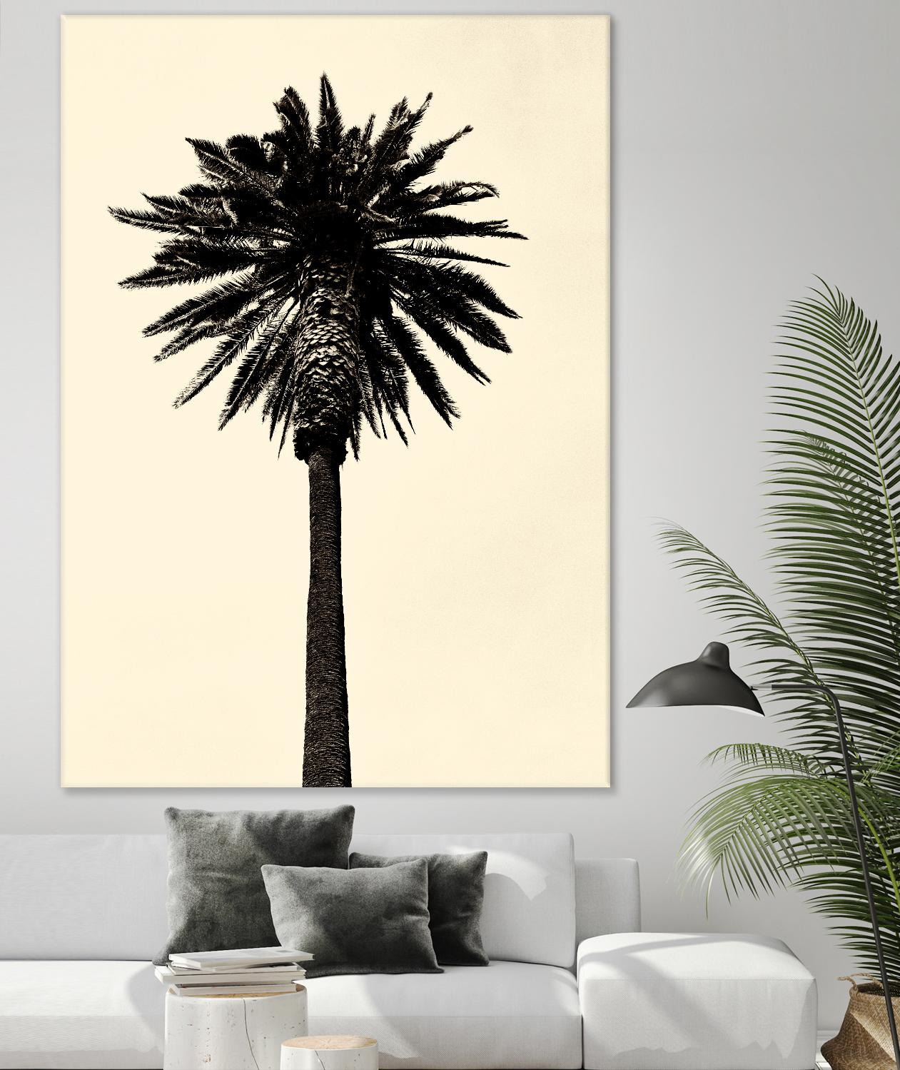 Palm Tree 1979 Tan by Erik Asla on GIANT ART - multicolor photography; contemporary