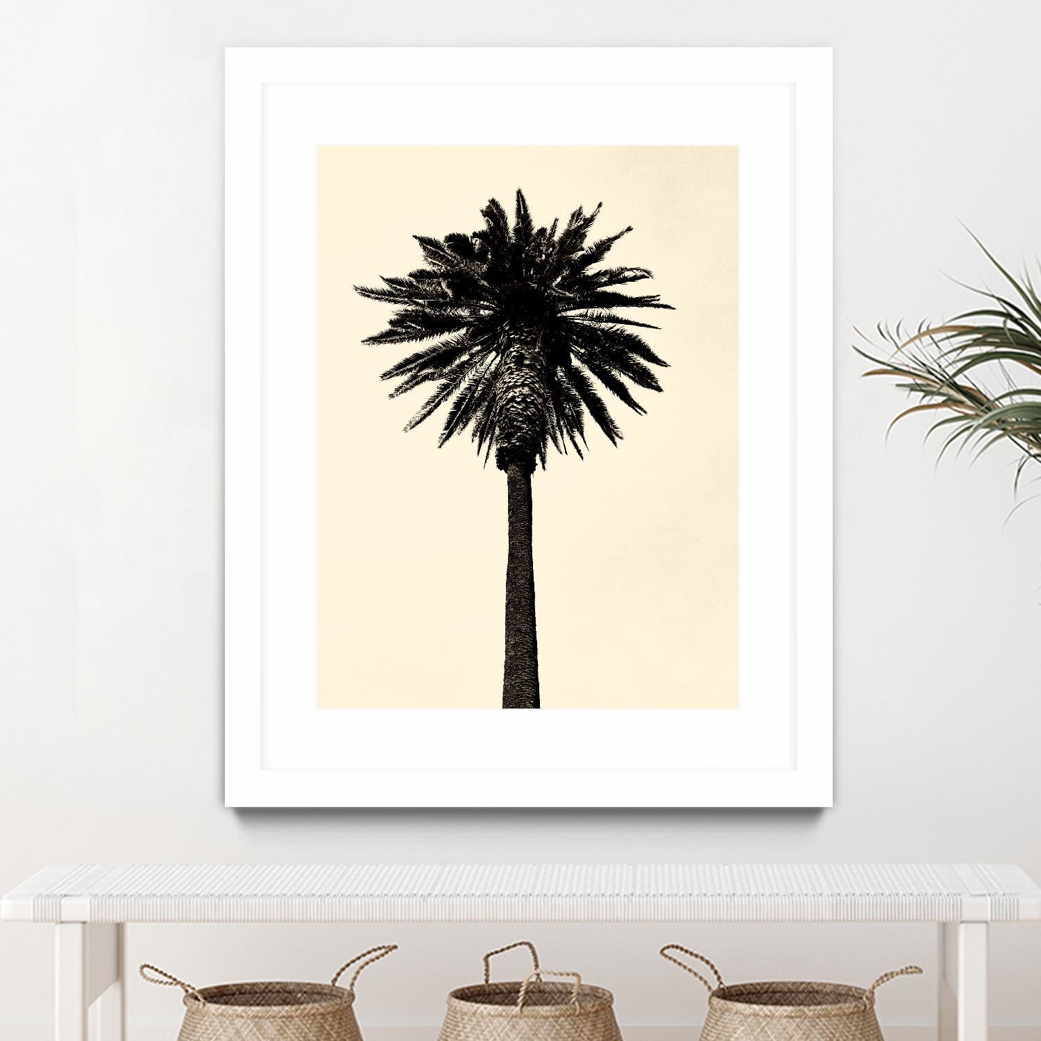 Palm Tree 1979 Tan by Erik Asla on GIANT ART - multicolor photography; contemporary