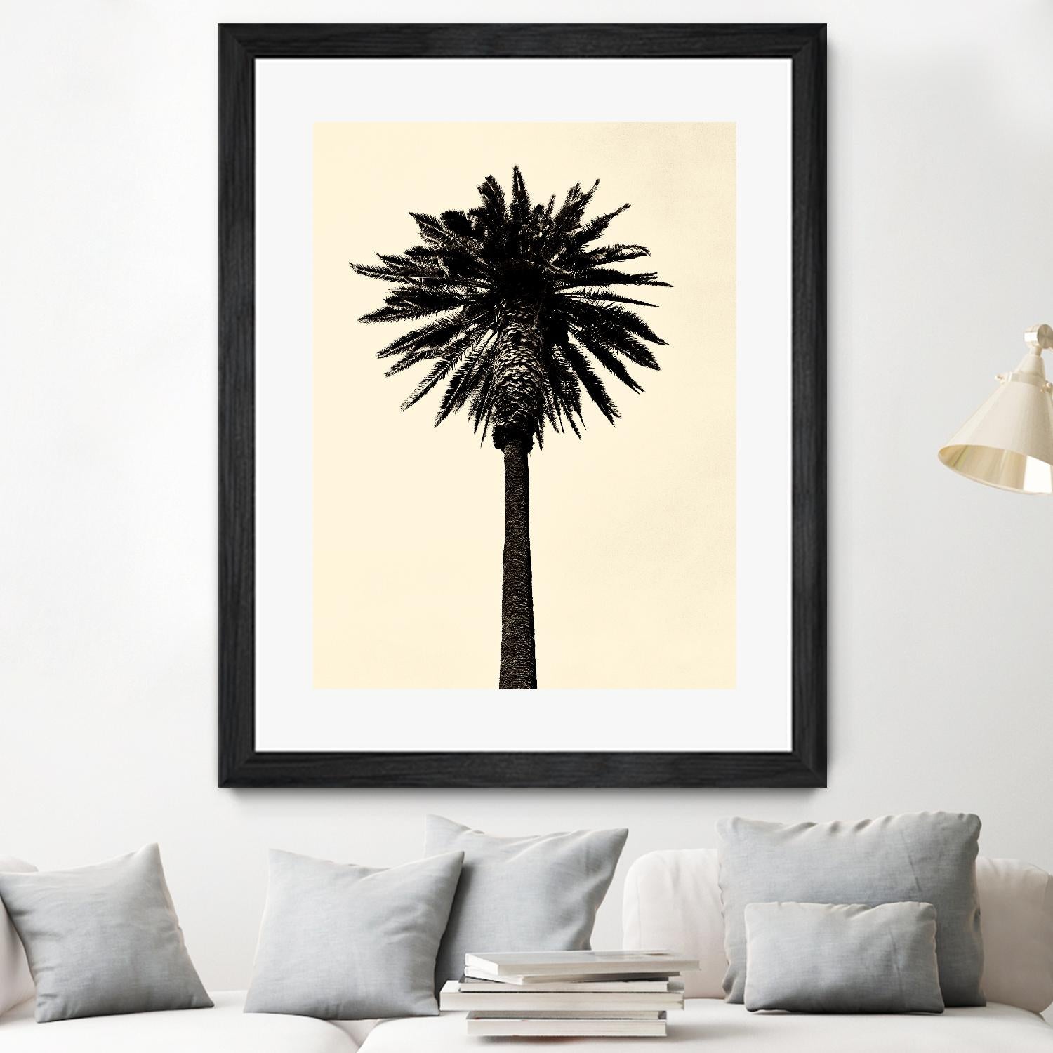 Palm Tree 1979 Tan by Erik Asla on GIANT ART - multicolor photography; contemporary