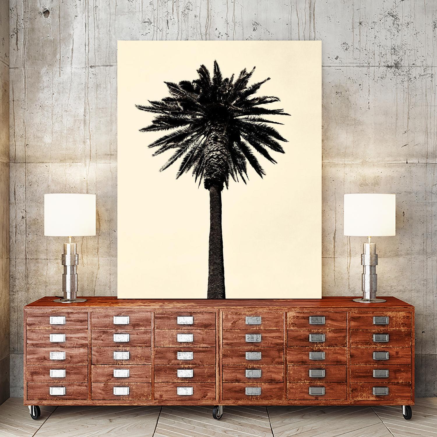 Palm Tree 1979 Tan by Erik Asla on GIANT ART - multicolor photography; contemporary