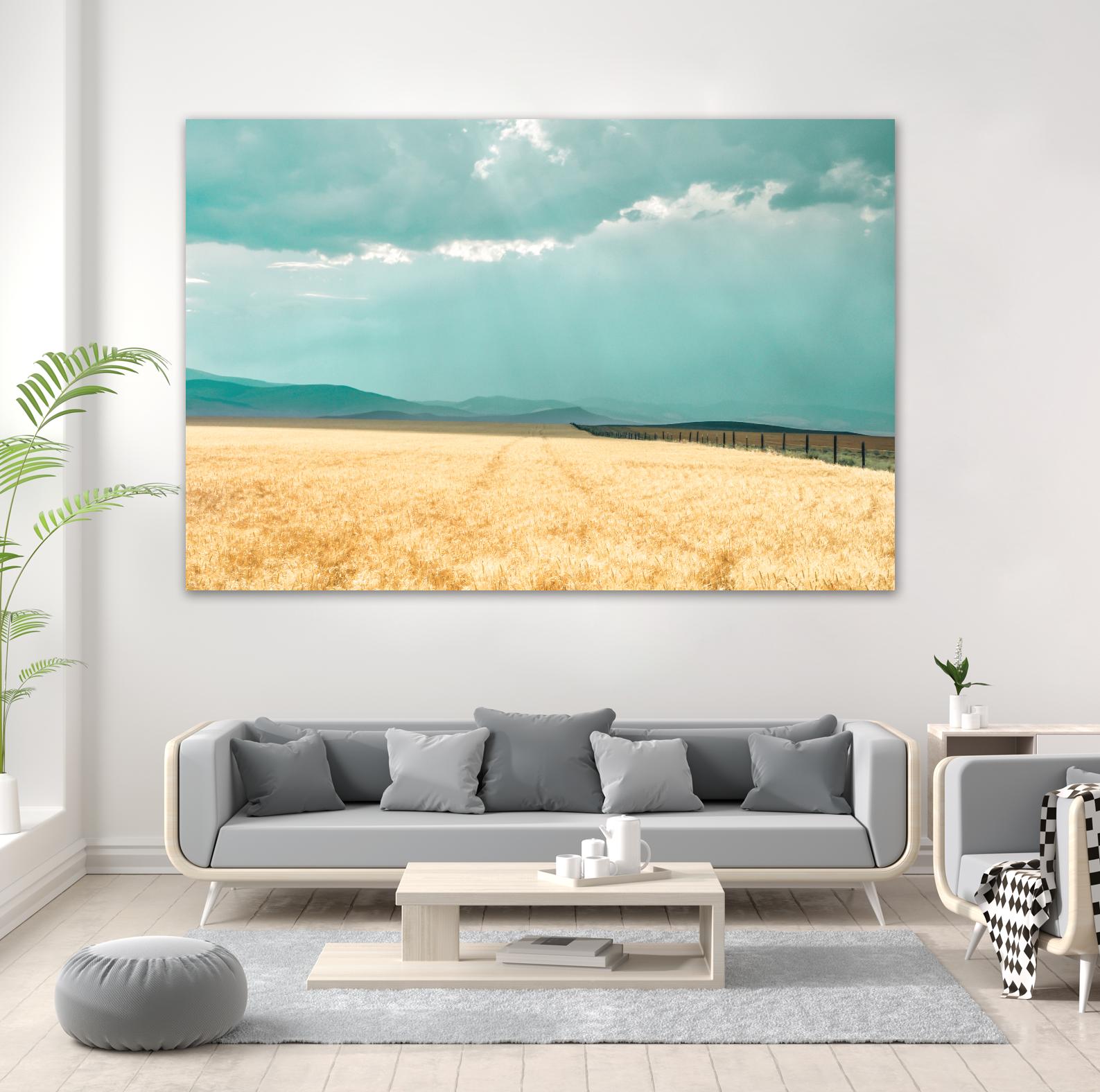 Harvest Shadow by Annie Bailey Art on GIANT ART - blue,beige landscapes, photography, farms, hills