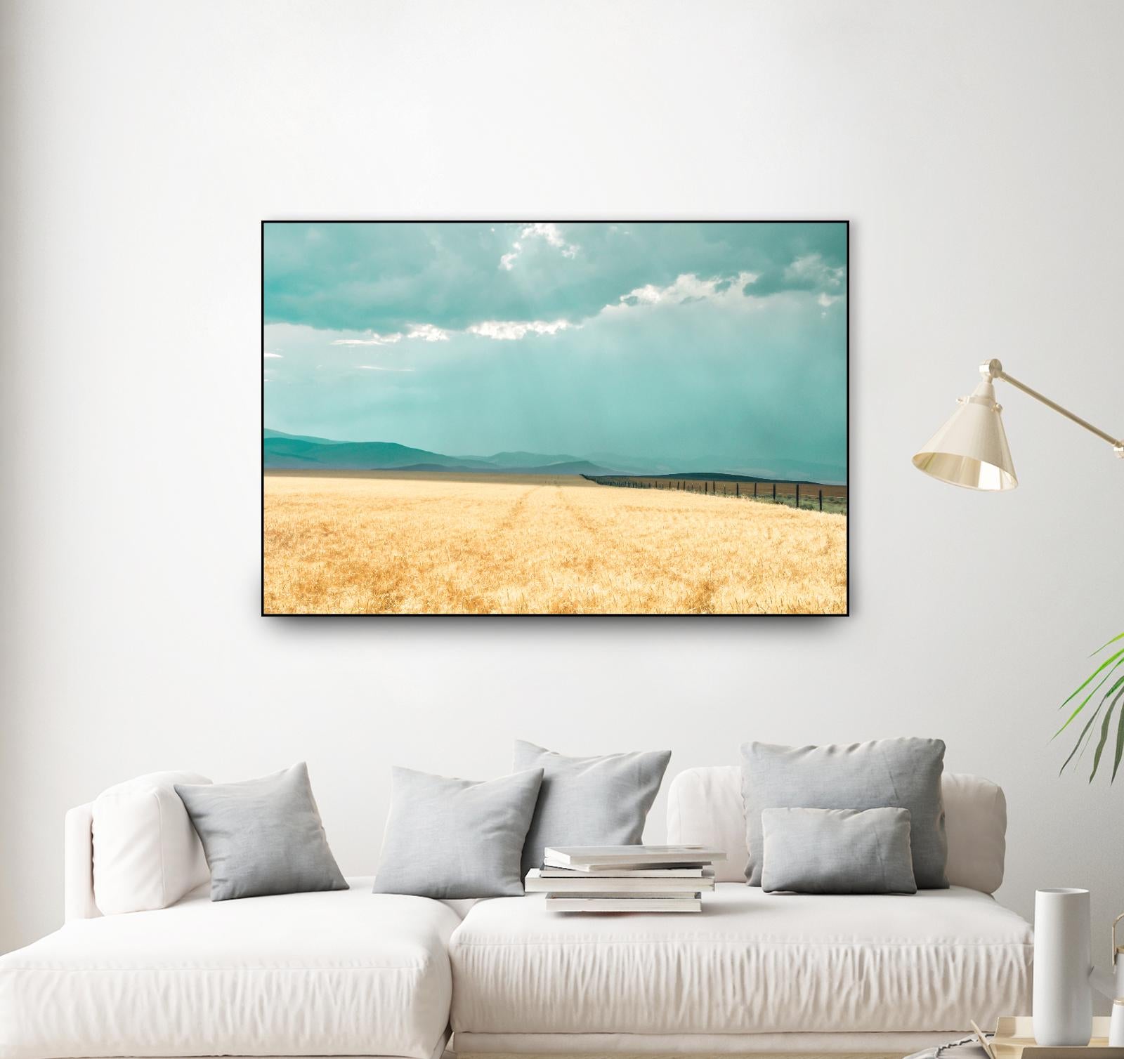 Harvest Shadow by Annie Bailey Art on GIANT ART - blue,beige landscapes, photography, farms, hills