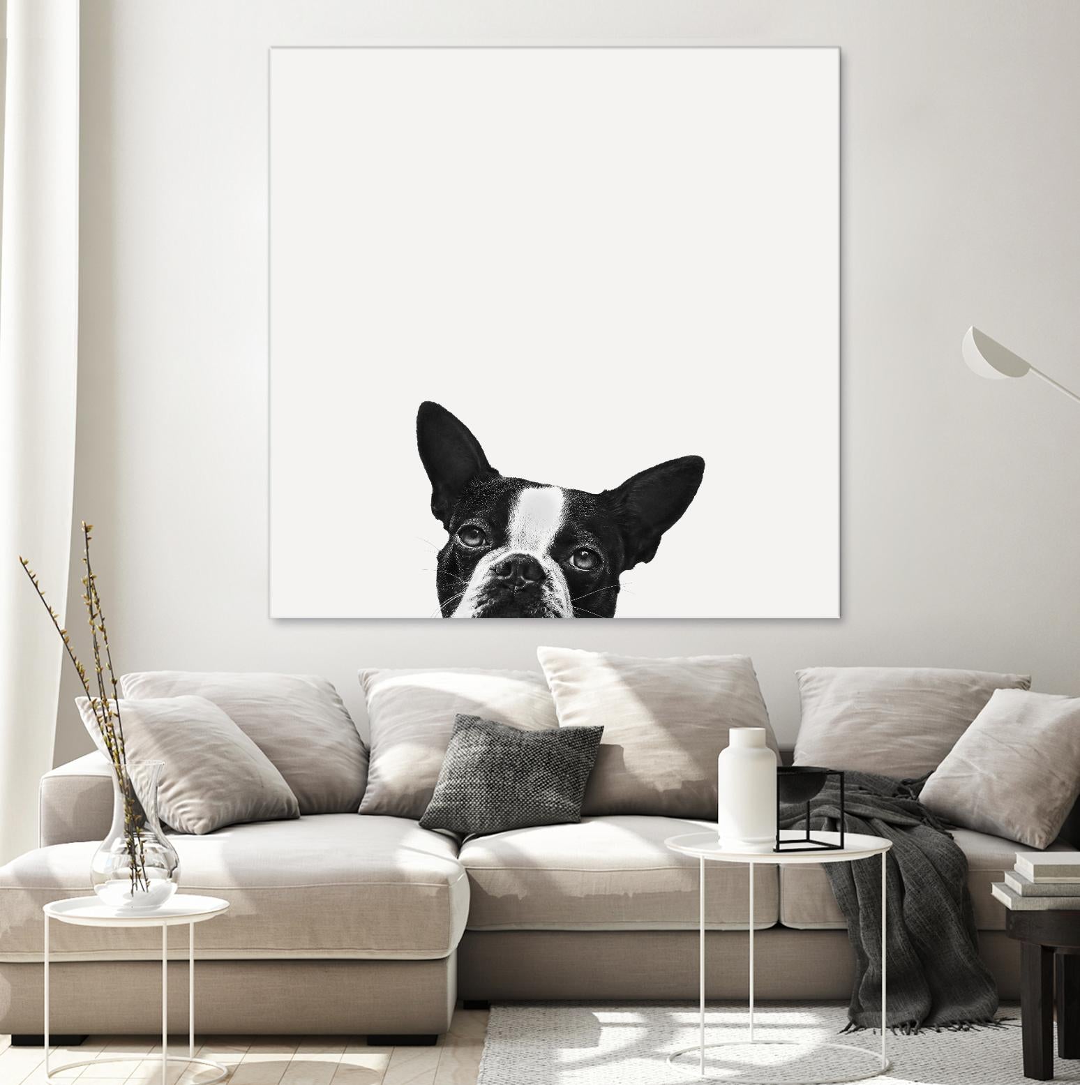 Loyalty by Jon Bertelli on GIANT ART - black,white photography, animals, dogs, humor