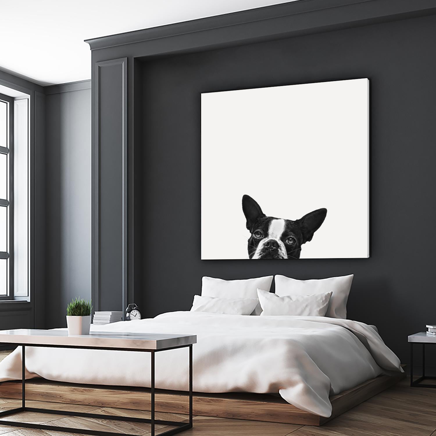 Loyalty by Jon Bertelli on GIANT ART - black,white photography, animals, dogs, humor