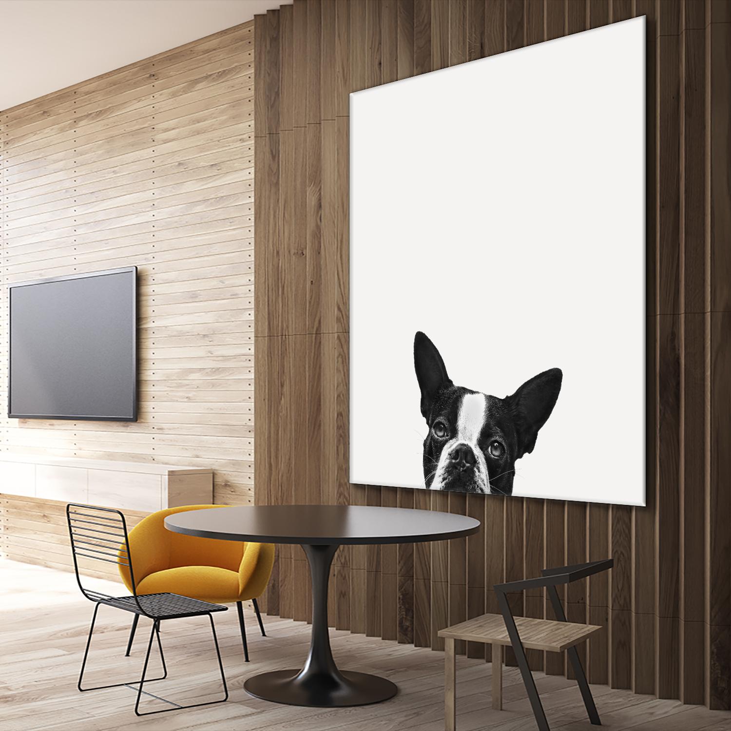 Loyalty by Jon Bertelli on GIANT ART - black,white photography, animals, dogs, humor