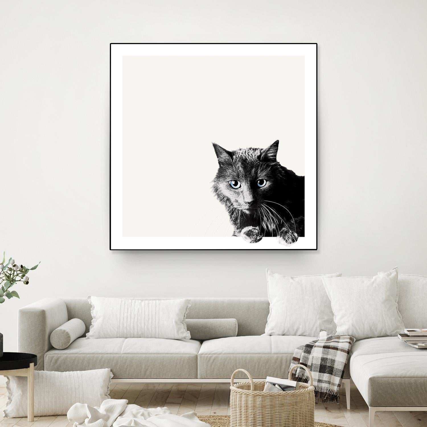 Inquisitive by Jon Bertelli on GIANT ART - multicolor animals; photography