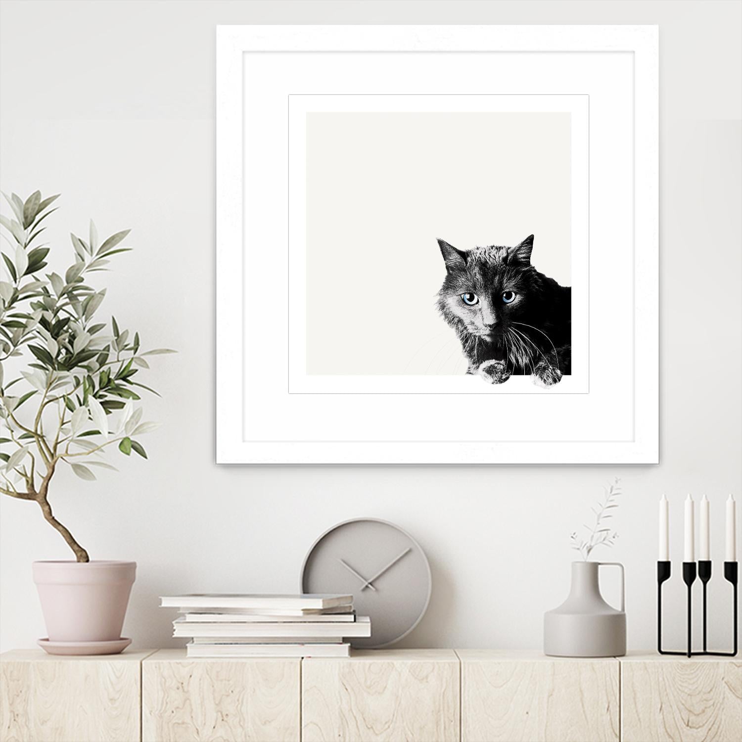 Inquisitive by Jon Bertelli on GIANT ART - multicolor animals; photography