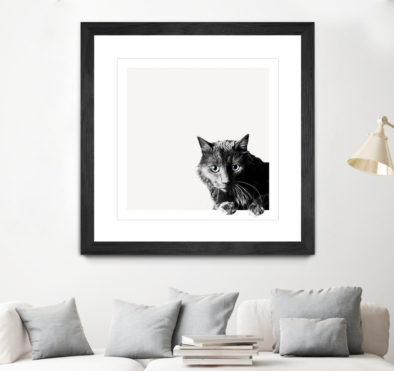 Inquisitive by Jon Bertelli on GIANT ART - multicolor animals; photography