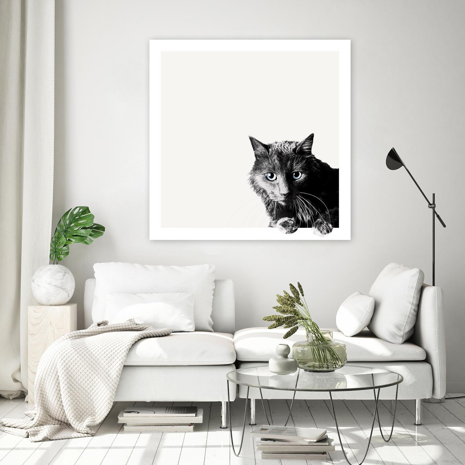 Inquisitive by Jon Bertelli on GIANT ART - multicolor animals; photography