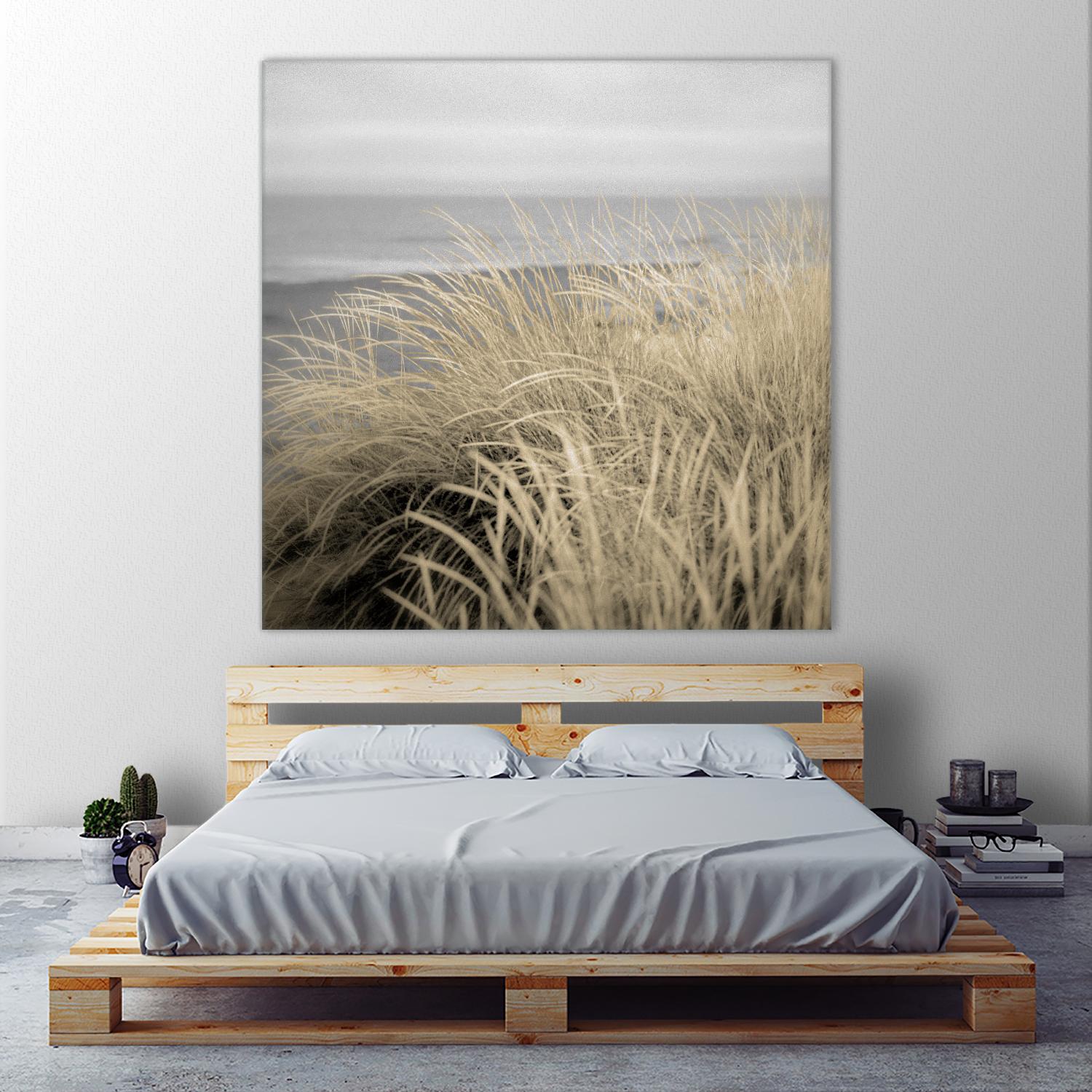 Tuscan Dunes #2A by Alan Blaustein on GIANT ART - multicolor photography; landscapes; coastal