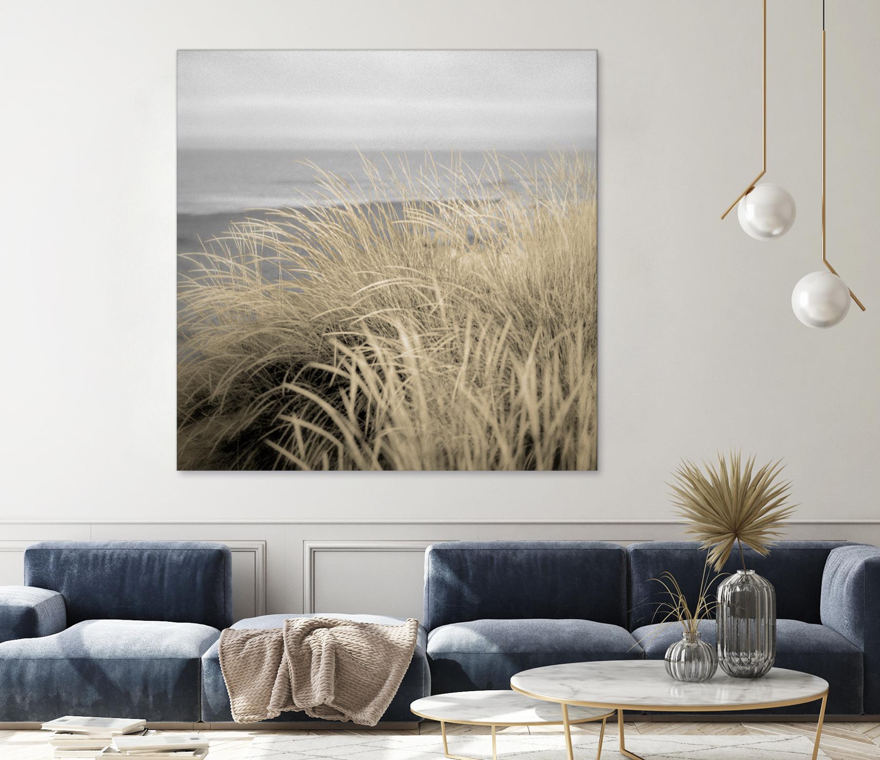 Tuscan Dunes #2A by Alan Blaustein on GIANT ART - multicolor photography; landscapes; coastal