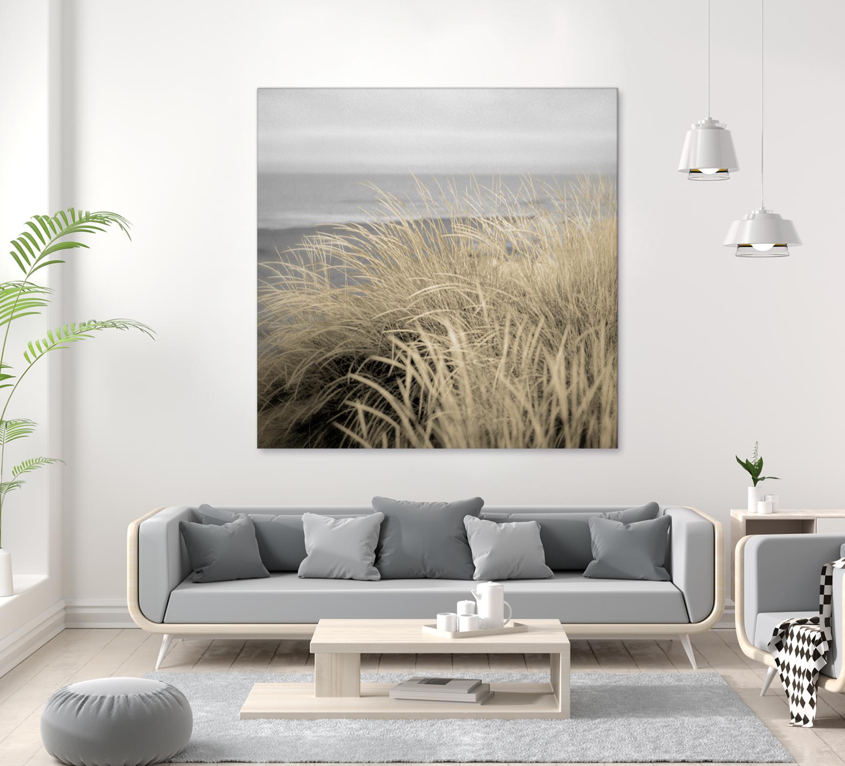 Tuscan Dunes #2A by Alan Blaustein on GIANT ART - multicolor photography; landscapes; coastal