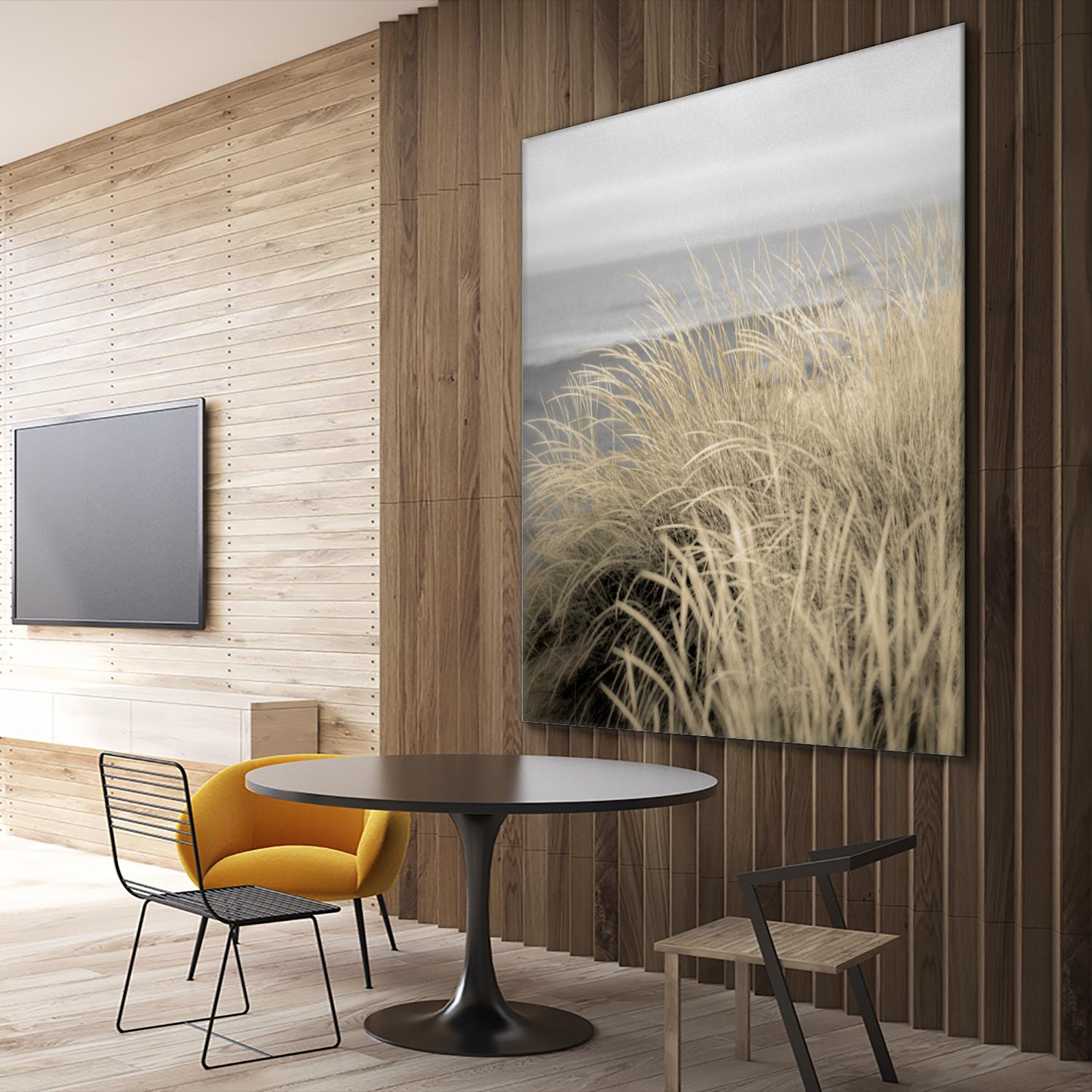 Tuscan Dunes #2A by Alan Blaustein on GIANT ART - multicolor photography; landscapes; coastal