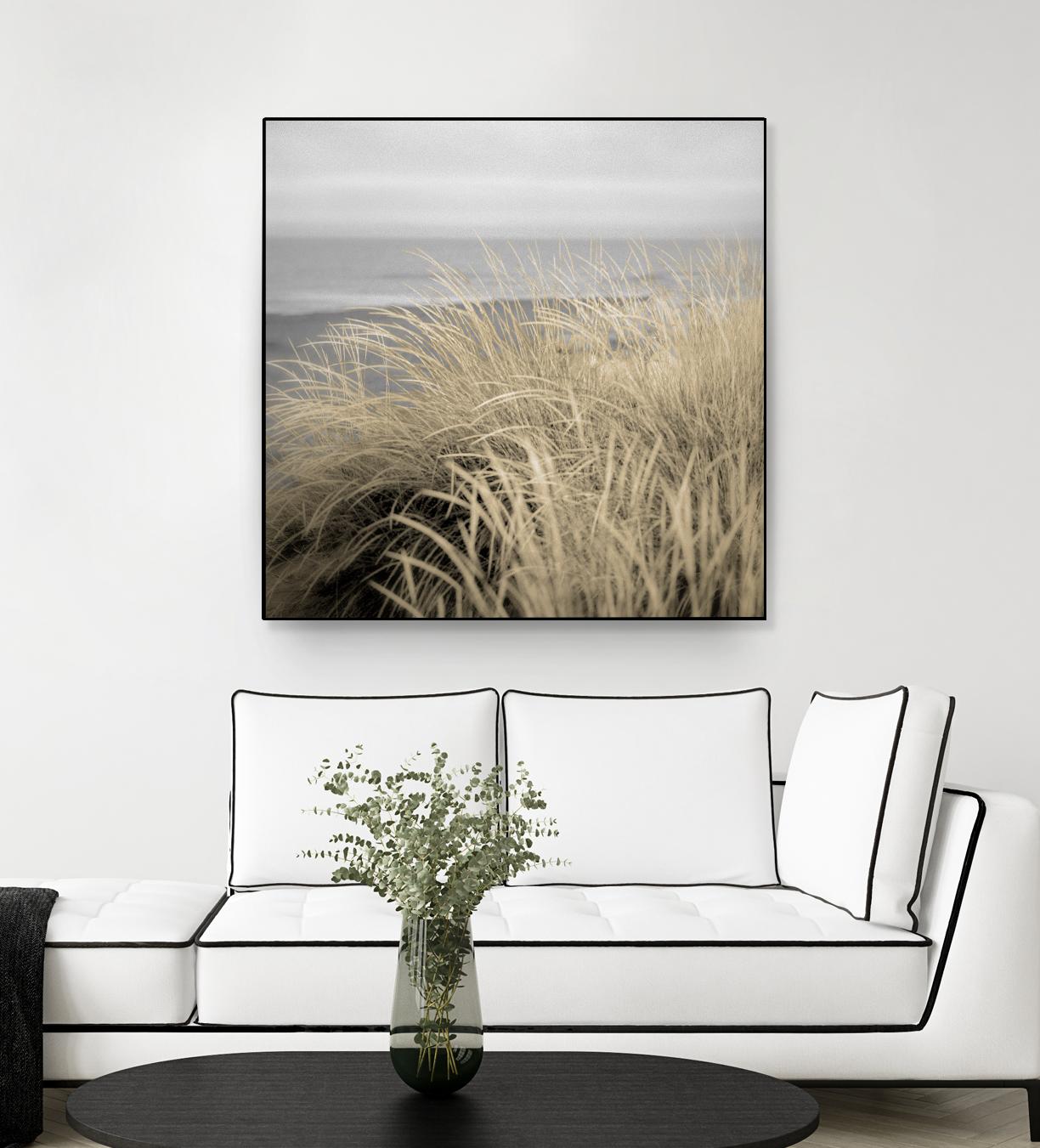 Tuscan Dunes #2A by Alan Blaustein on GIANT ART - multicolor photography; landscapes; coastal