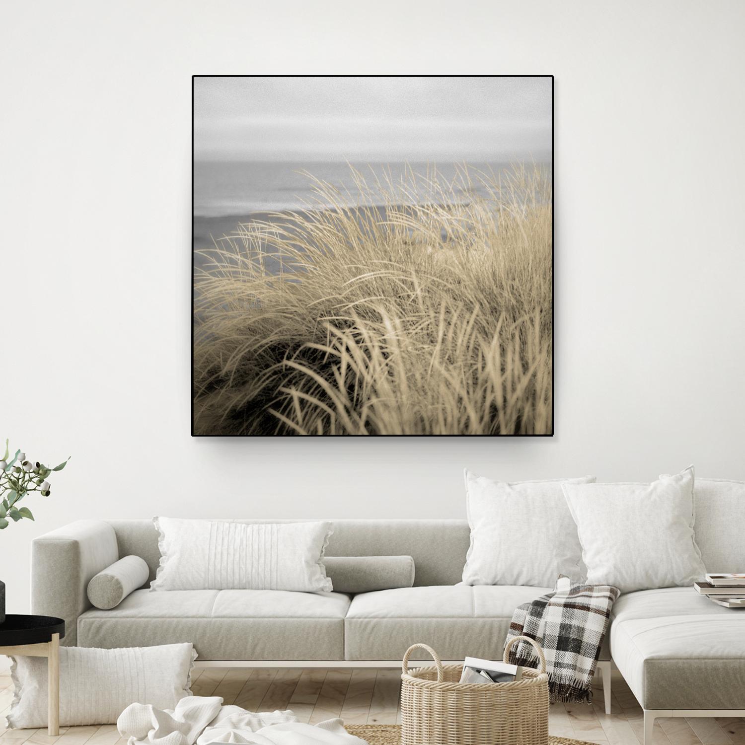Tuscan Dunes #2A by Alan Blaustein on GIANT ART - multicolor photography; landscapes; coastal