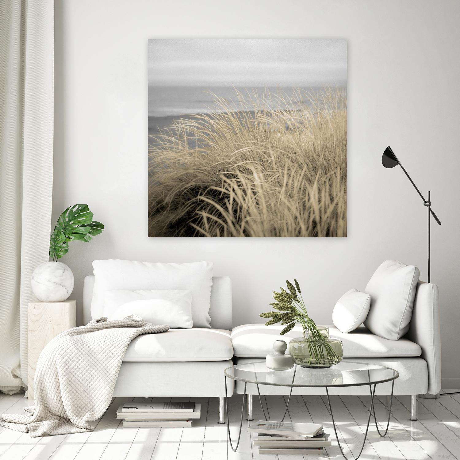 Tuscan Dunes #2A by Alan Blaustein on GIANT ART - multicolor photography; landscapes; coastal