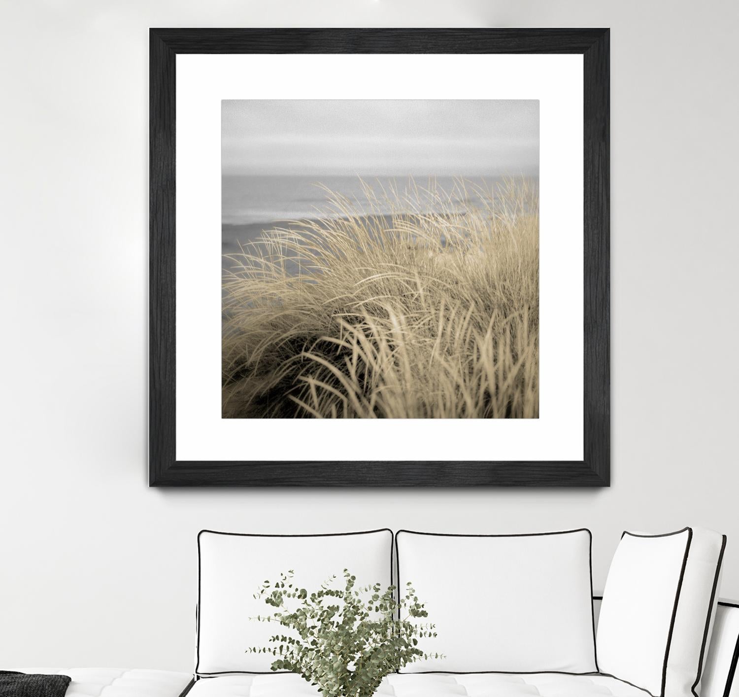 Tuscan Dunes #2A by Alan Blaustein on GIANT ART - multicolor photography; landscapes; coastal