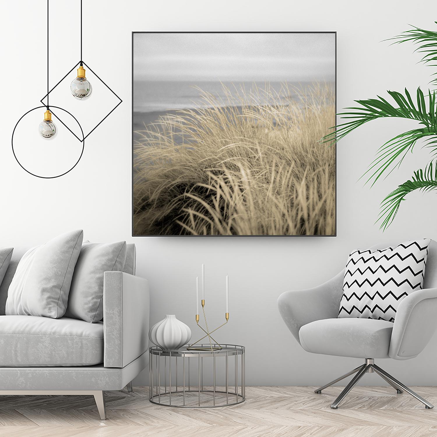 Tuscan Dunes #2A by Alan Blaustein on GIANT ART - multicolor photography; landscapes; coastal